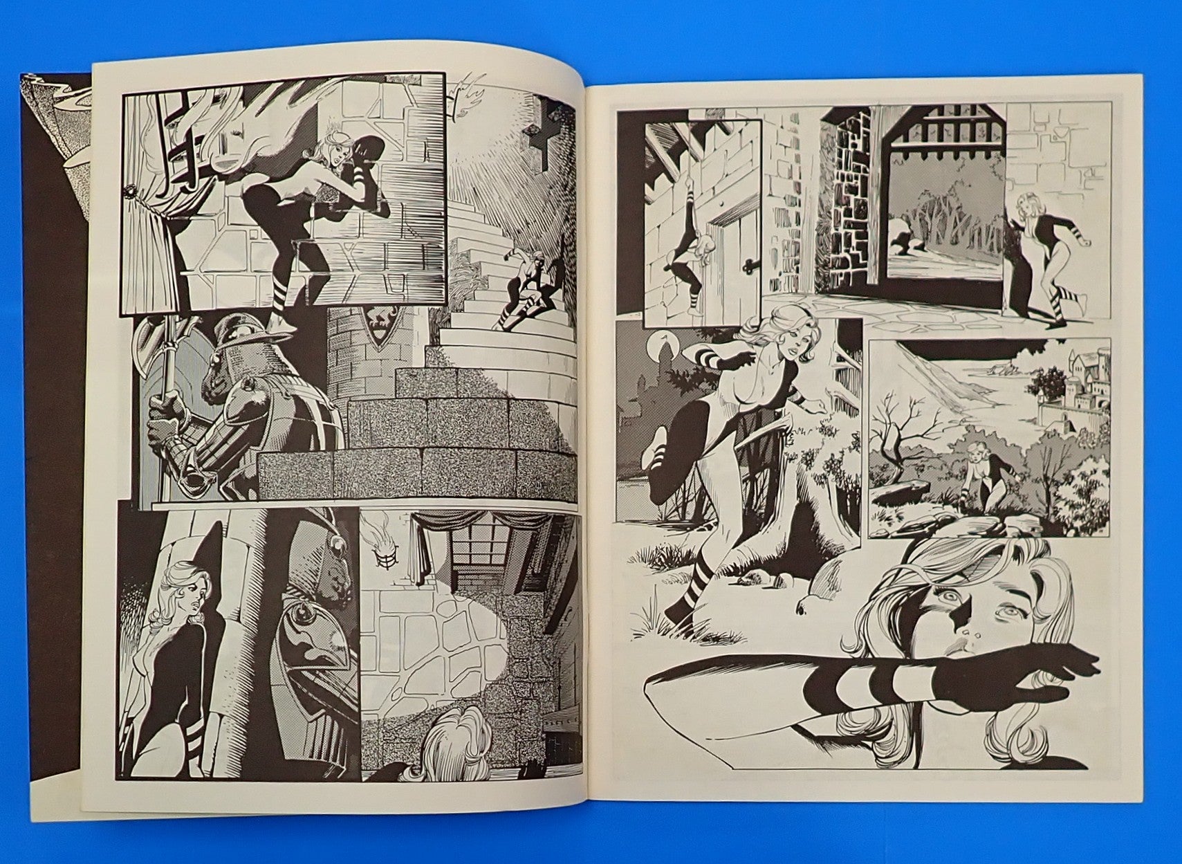 Witzend no. 10 (1976) - Zine [Pre-Owned]