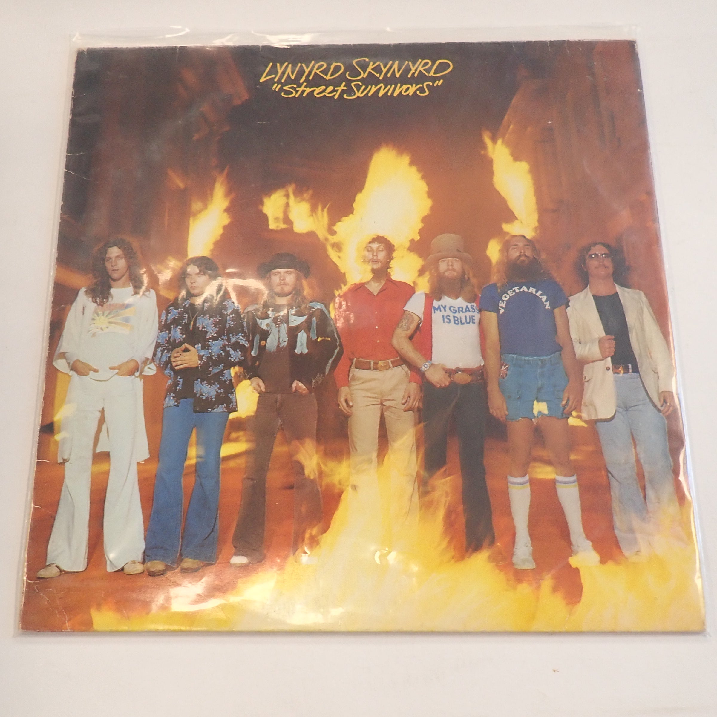 Lynyrd Skynyrd Street Survivors (Flame Background) - Vinyl [Pre-Owned]