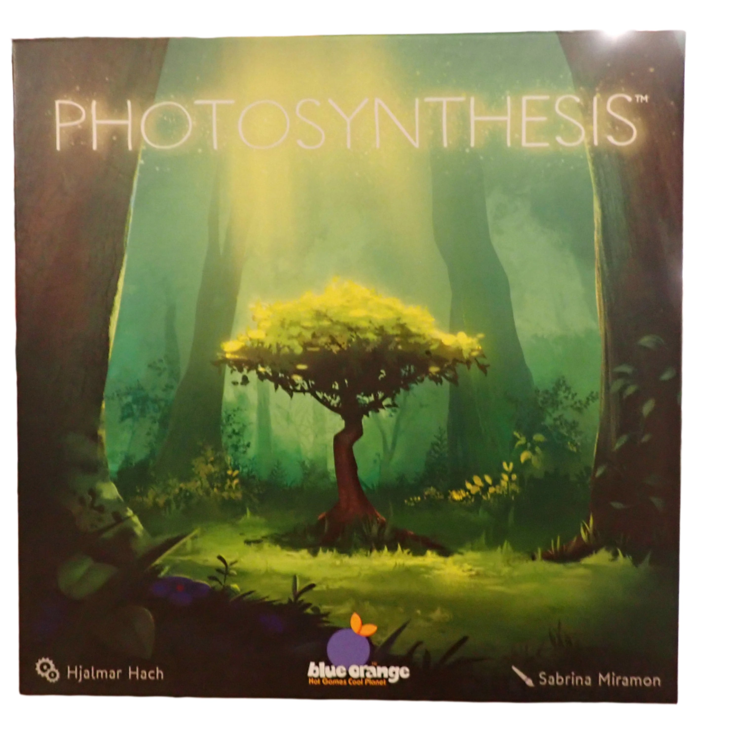 Photosynthesis Board Game (Used)