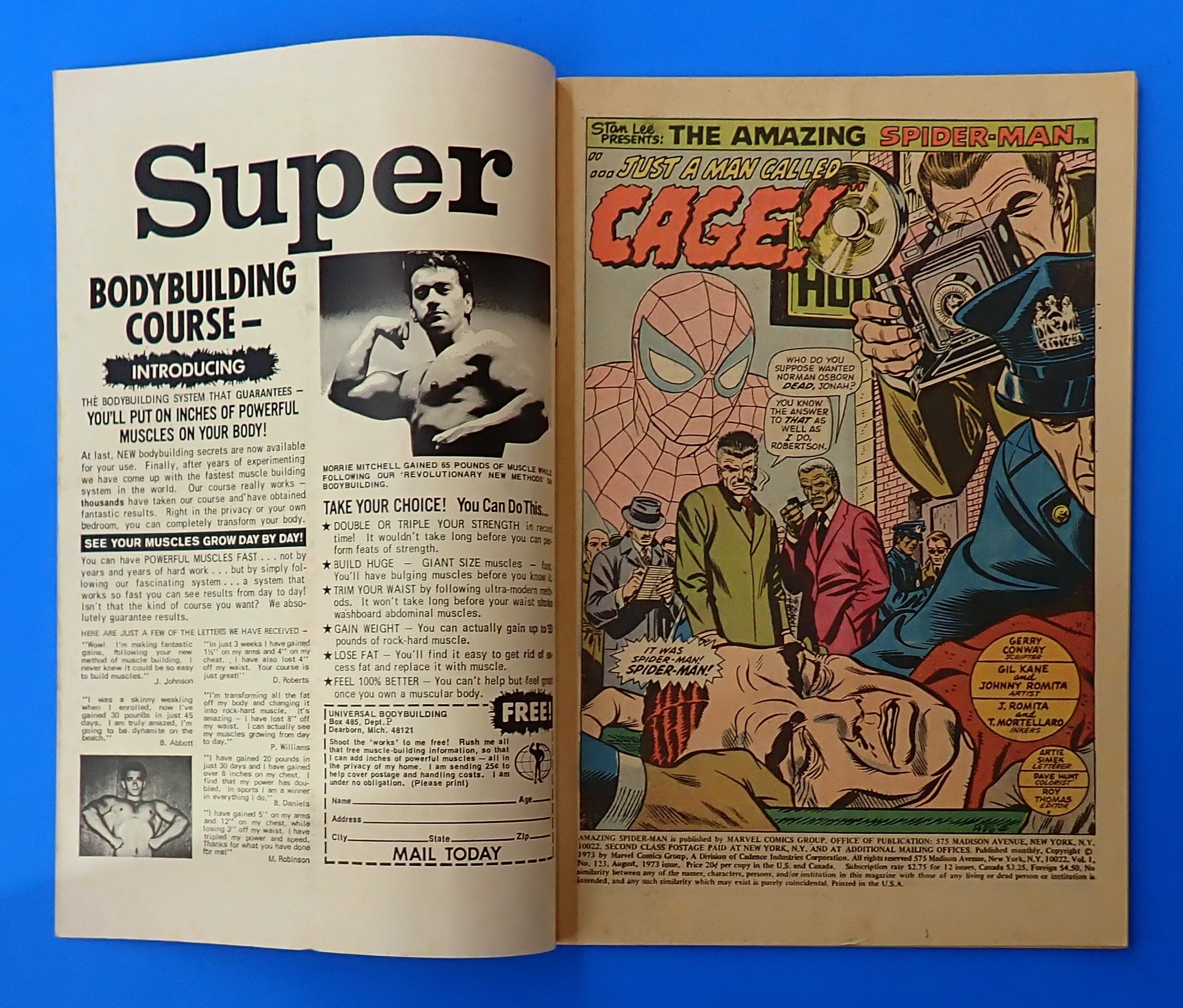 Amazing Spider-Man #123 (1973) - FN/FN+ (6.0-6.5) - Funeral of Gwen Stacy