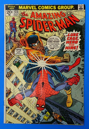 Amazing Spider-Man #123 (1973) - FN- (5.5) - Gwen Stacy Funeral