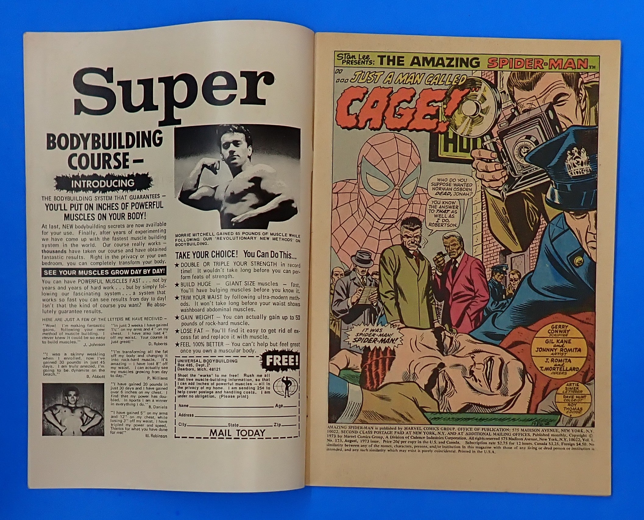 Amazing Spider-Man #123 (1973) - FN- (5.5) - Gwen Stacy Funeral