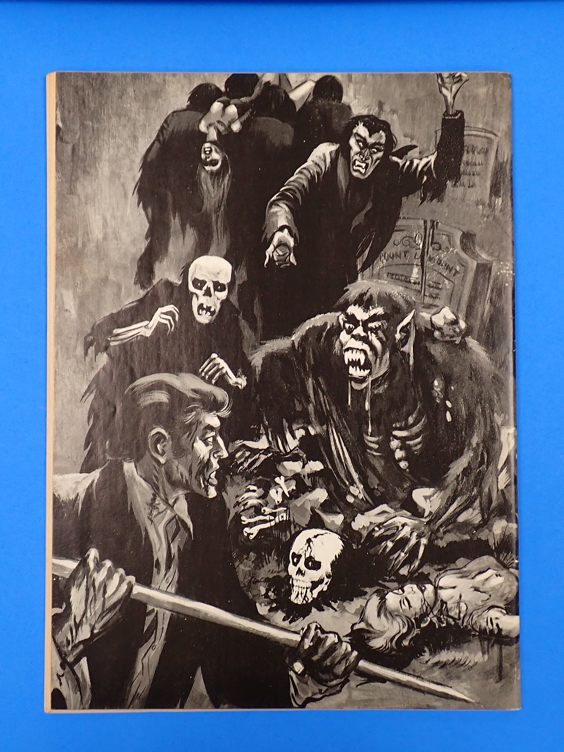 WEIRD Vol. 14 #2 (1981) - Startling 'N Shocking Tales