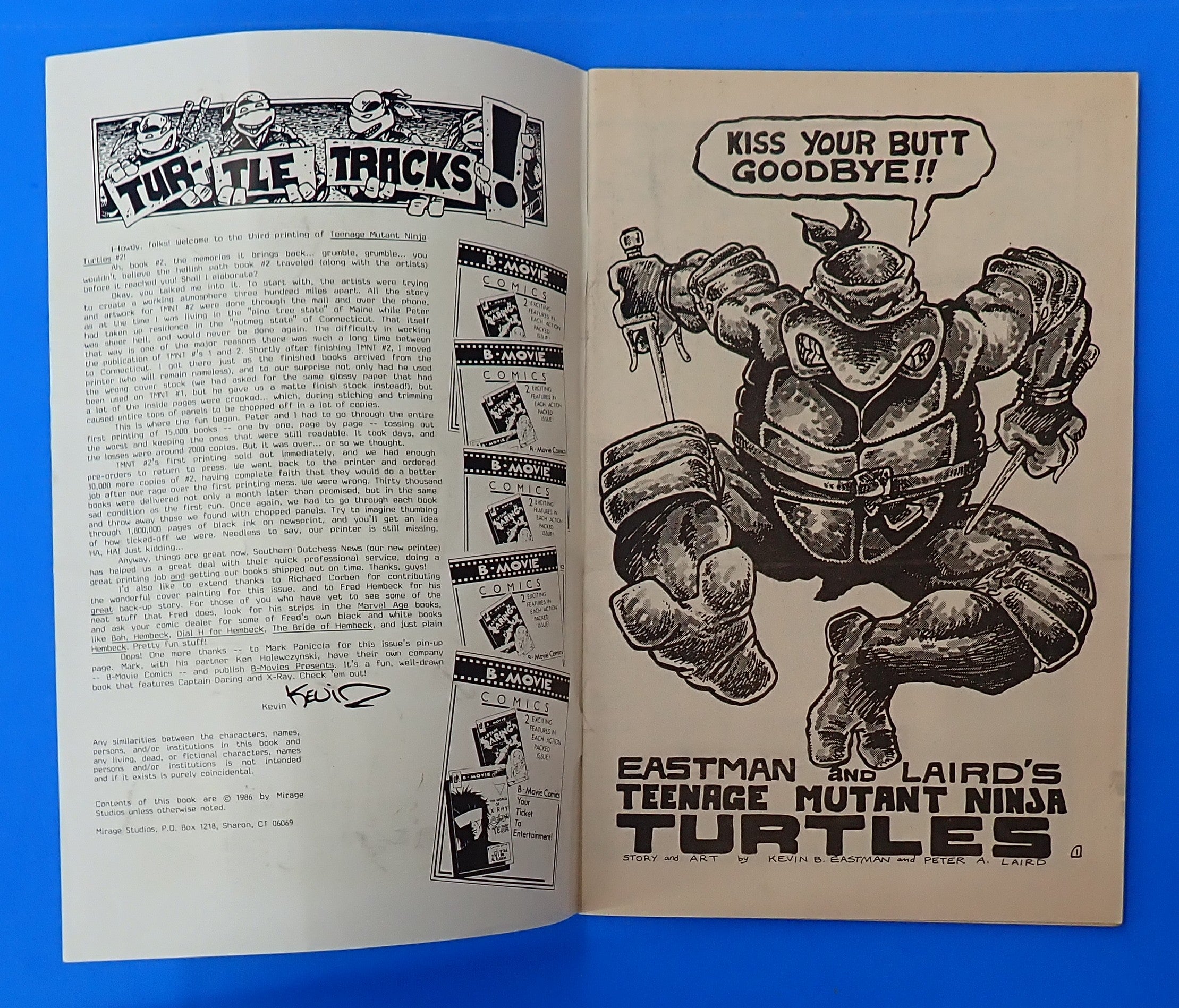Teenage Mutant Ninja Turtles #2 (1986) - FN (6.0) - 3rd Print Variant