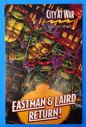 Teenage Mutant Ninja Turtles #49 (1992) - VF (8.0)
