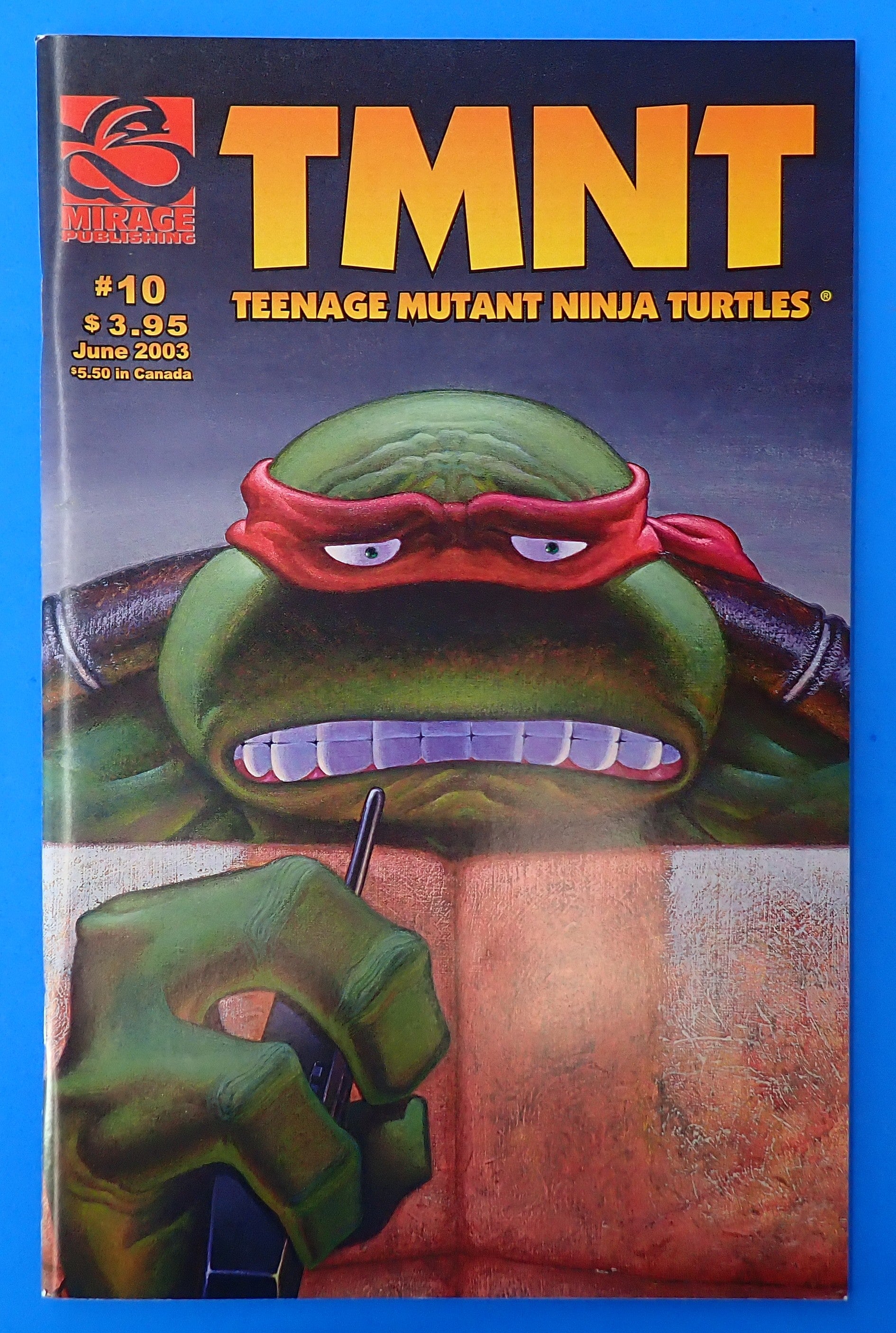 Teenage Mutant Ninja Turtles #10 (2003) - VF+ (8.5)