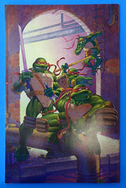 Teenage Mutant Ninja Turtles #10 (2003) - VF+ (8.5)