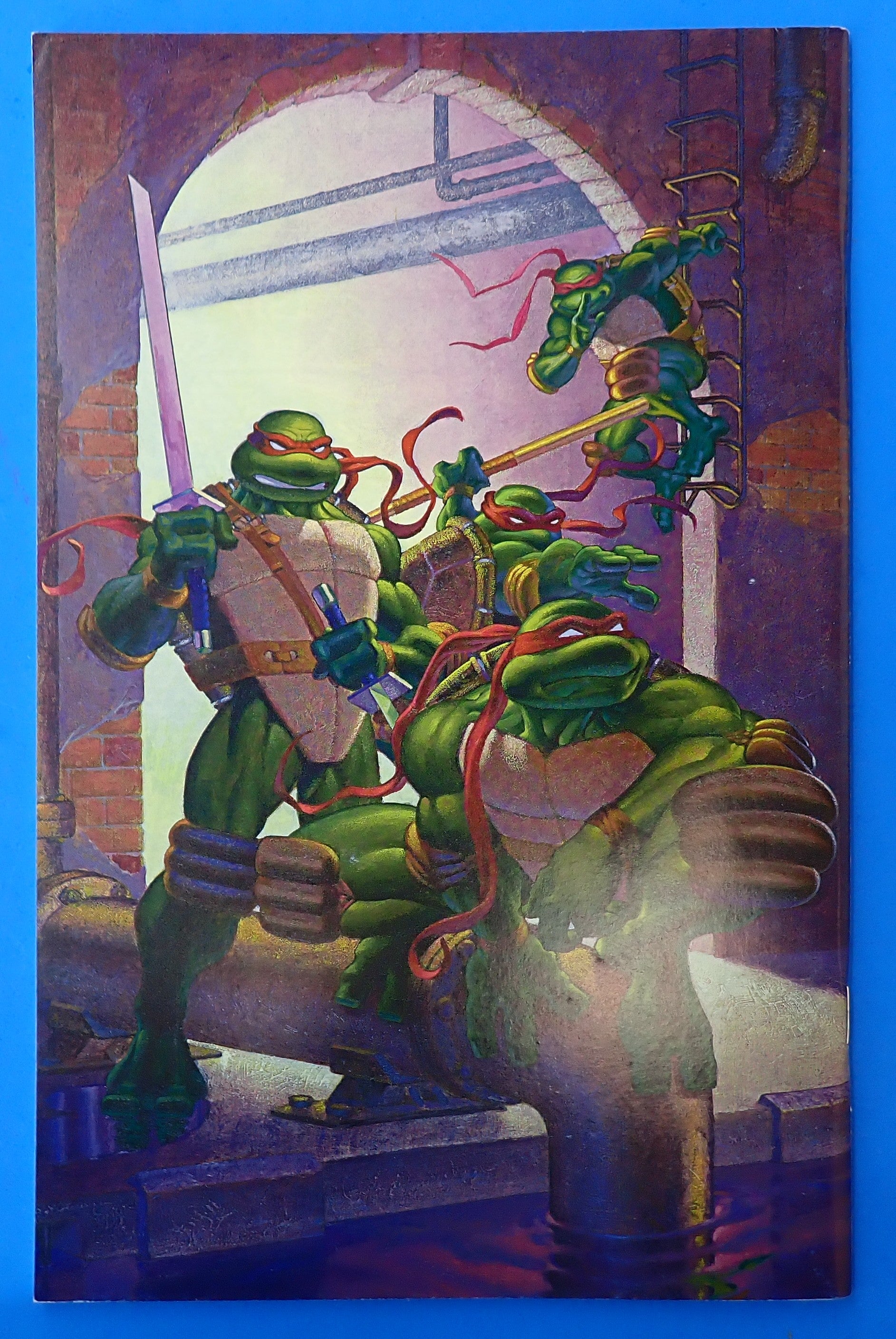 Teenage Mutant Ninja Turtles #10 (2003) - VF+ (8.5)