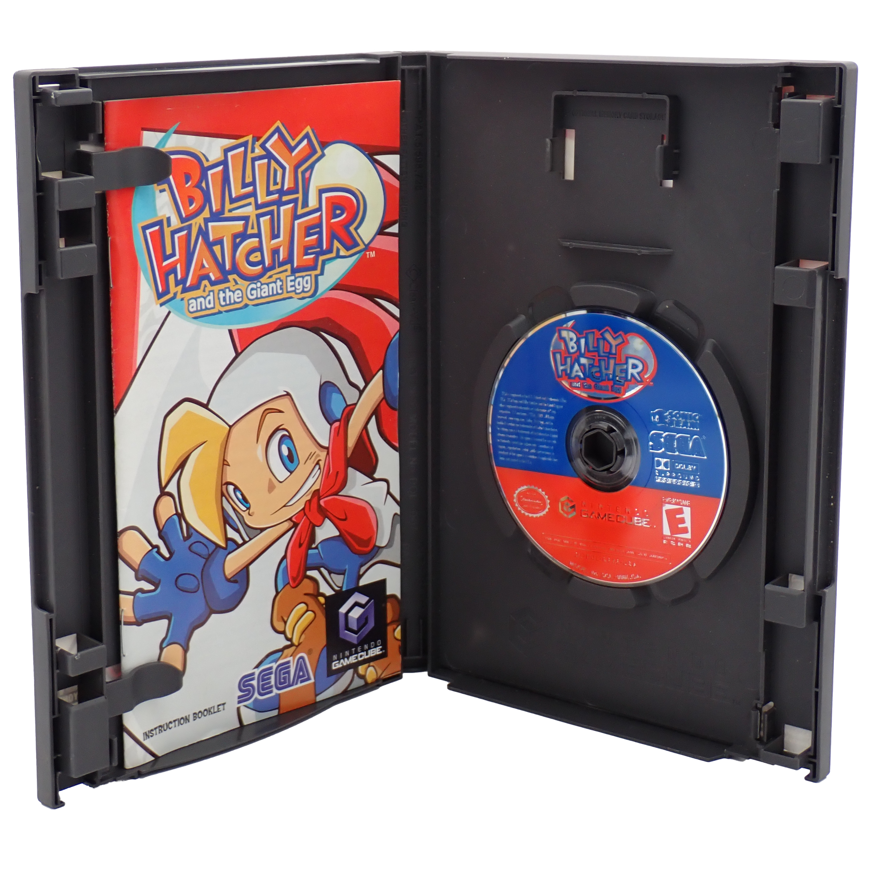 Billy Hatcher and the Giant Egg - GC