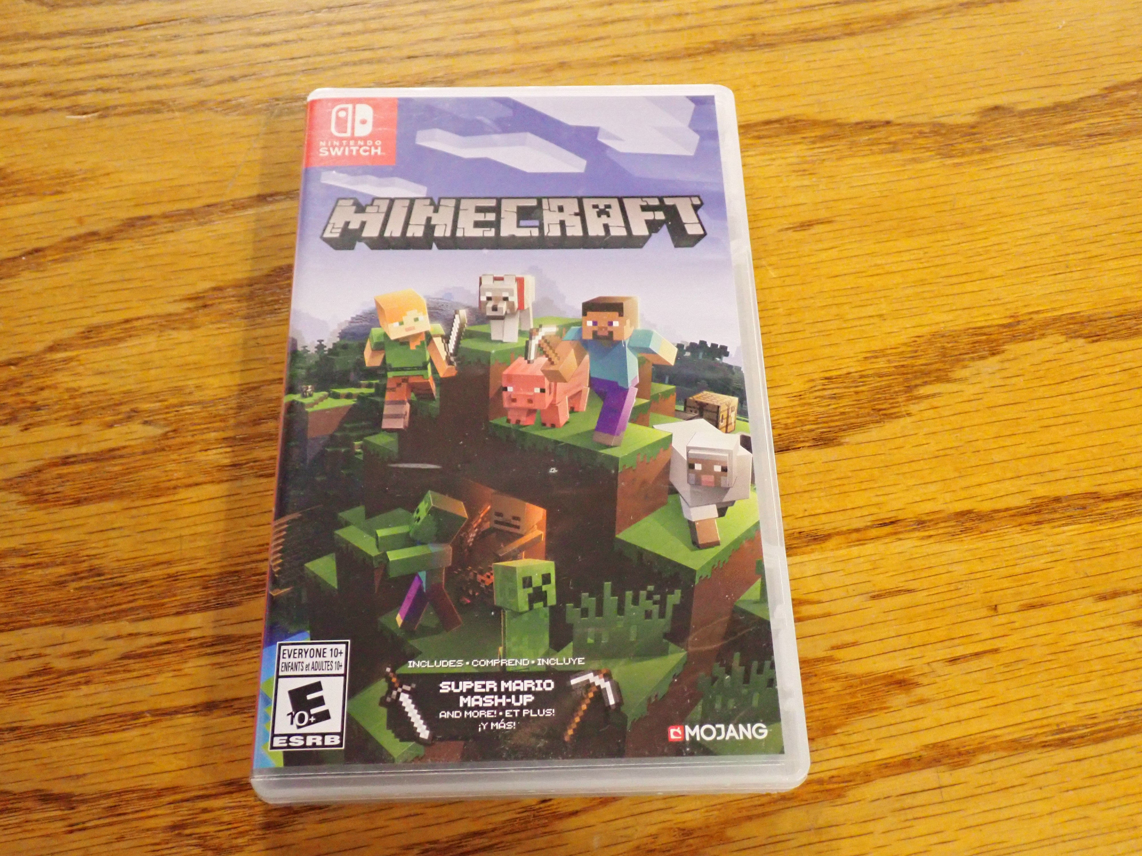 Minecraft - NS