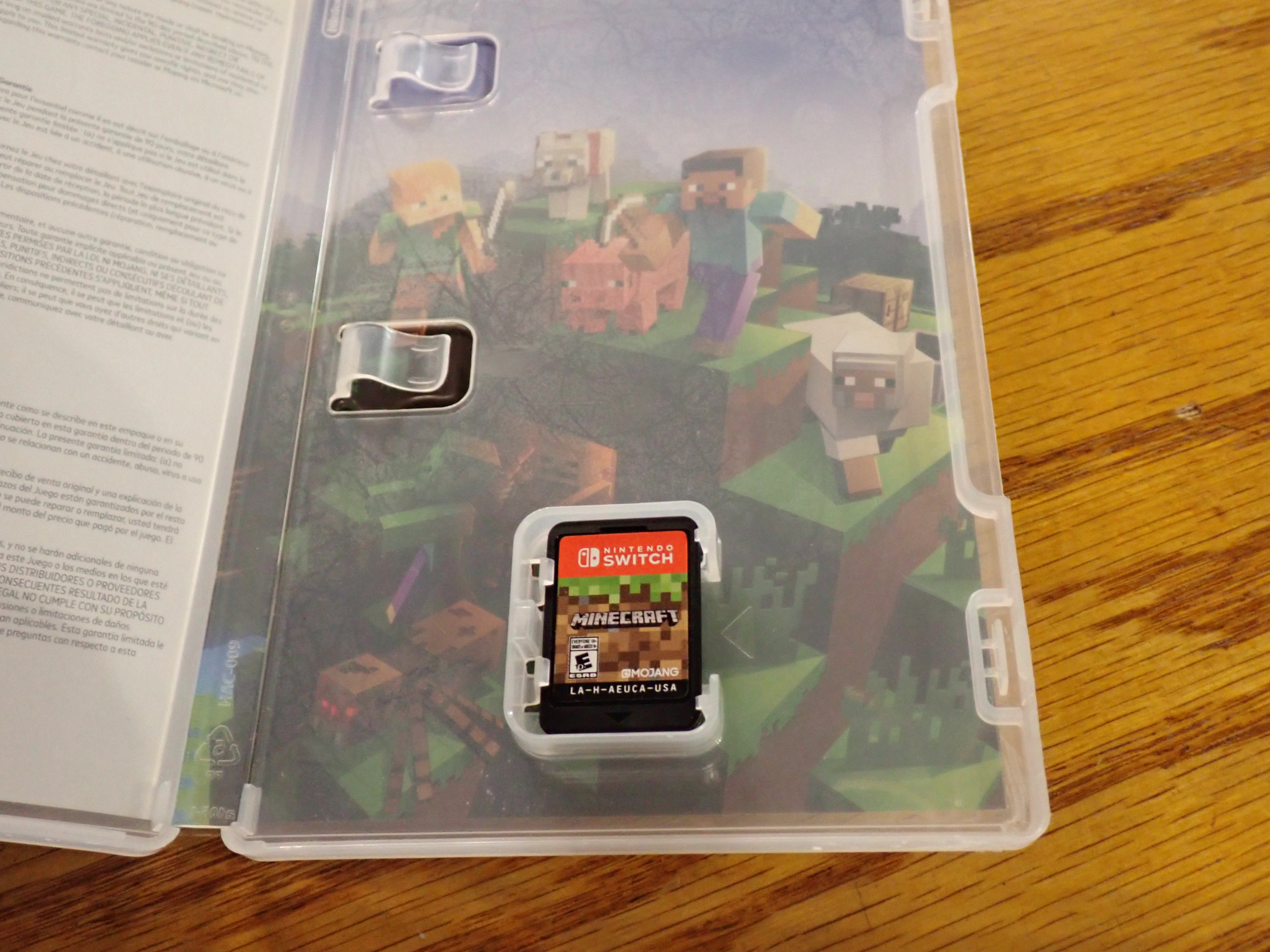 Minecraft - NS