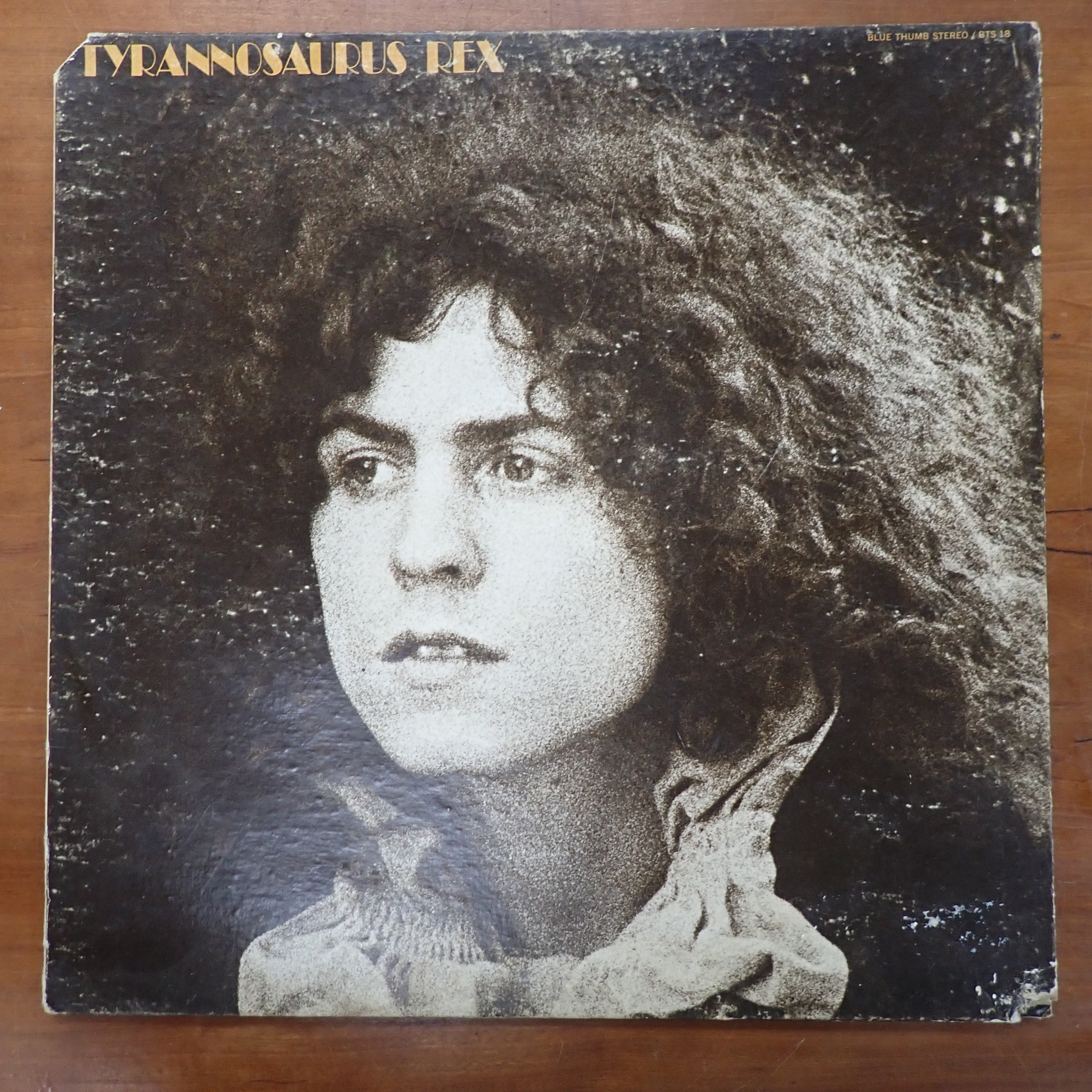 Tyrannosaurus Rex – A Beard Of Stars