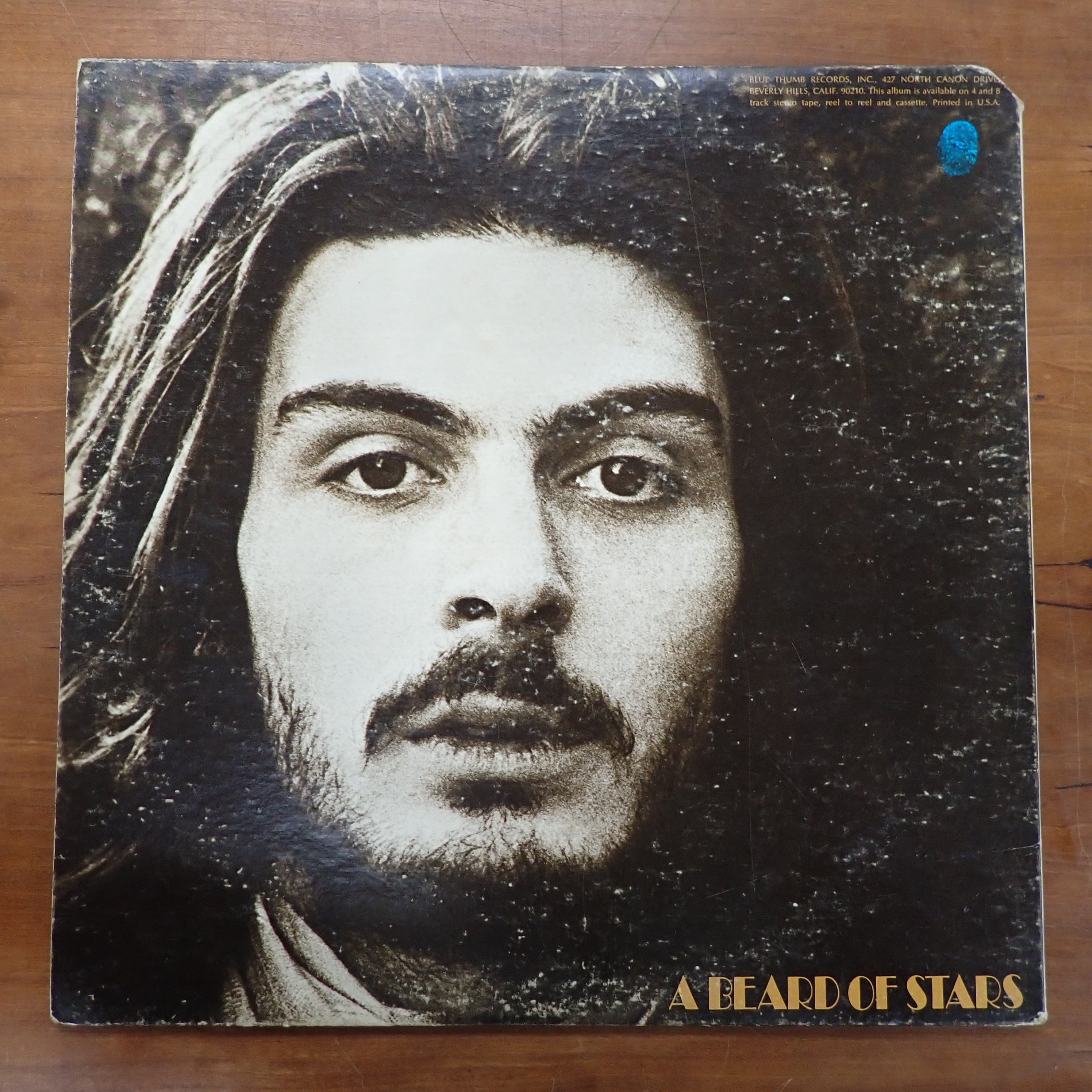 Tyrannosaurus Rex – A Beard Of Stars