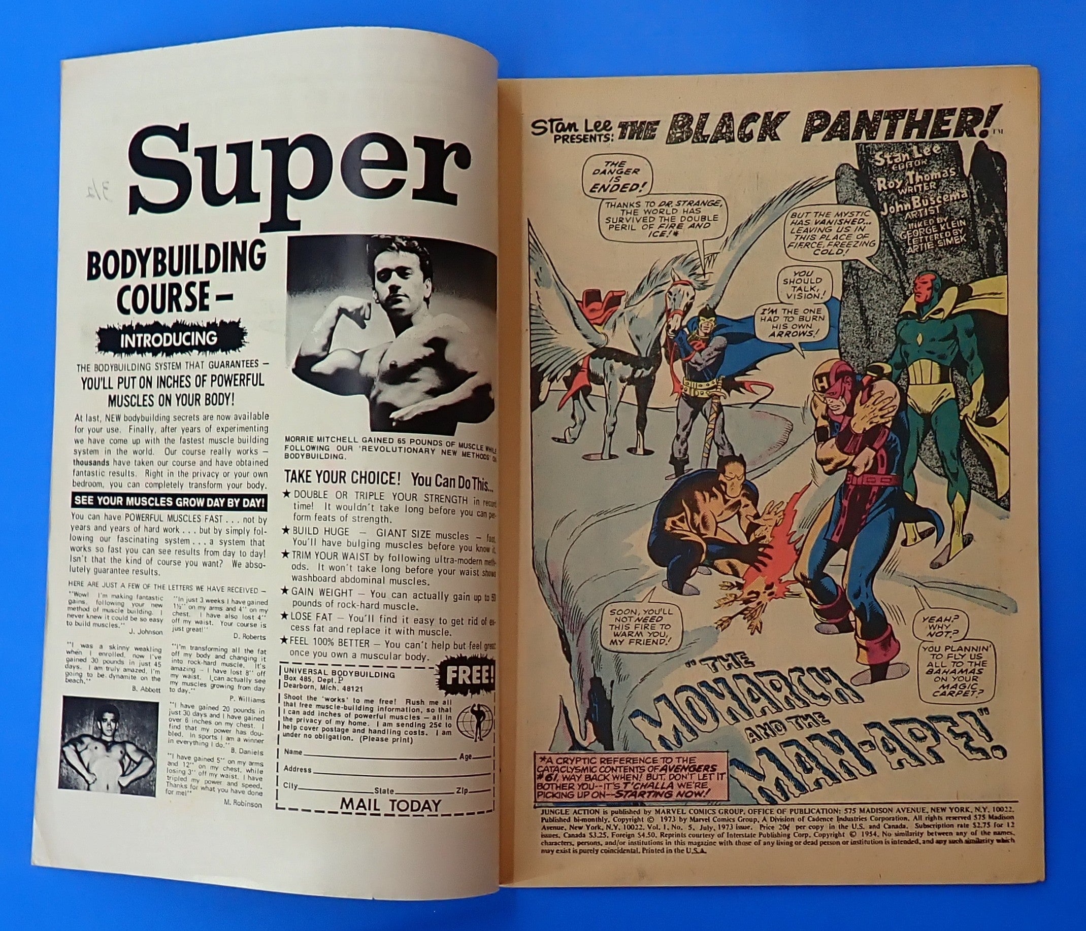 Jungle Action #5 (1973) - FN (6.0) - 1st Solo Black Panther