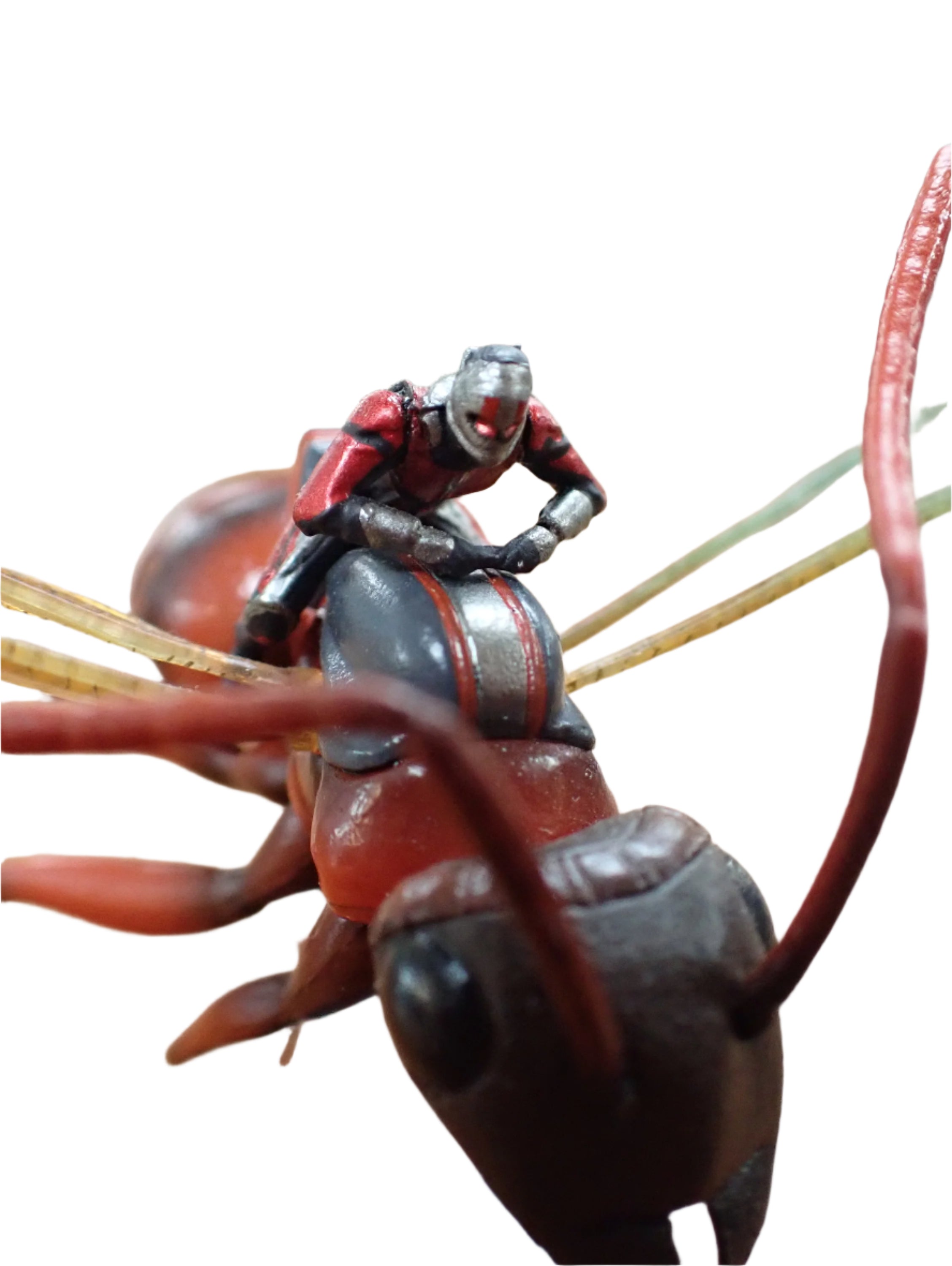 Ant-Man and Wasp on Flying Ant - Hot Toys