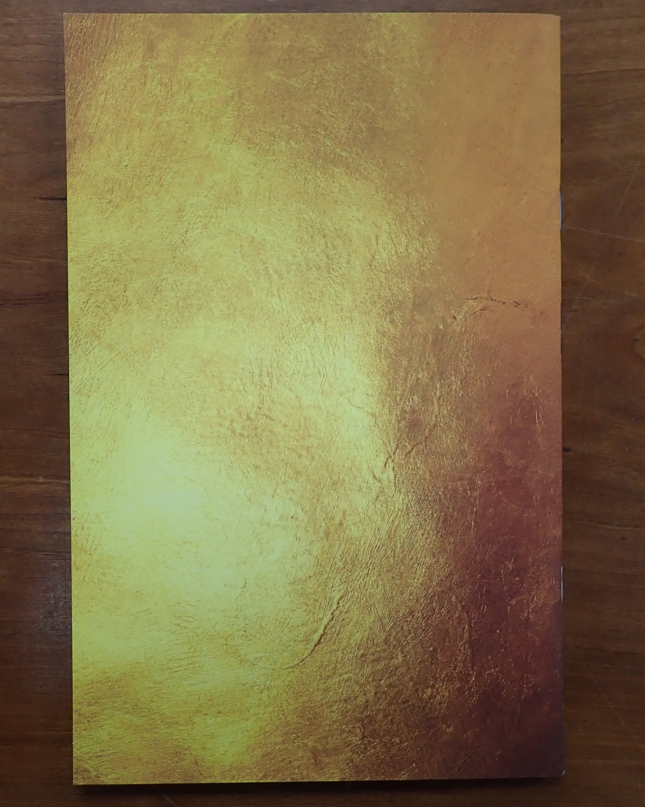 Captain Hartchild's Guide to Rare Dragons - [PRE-OWNED]