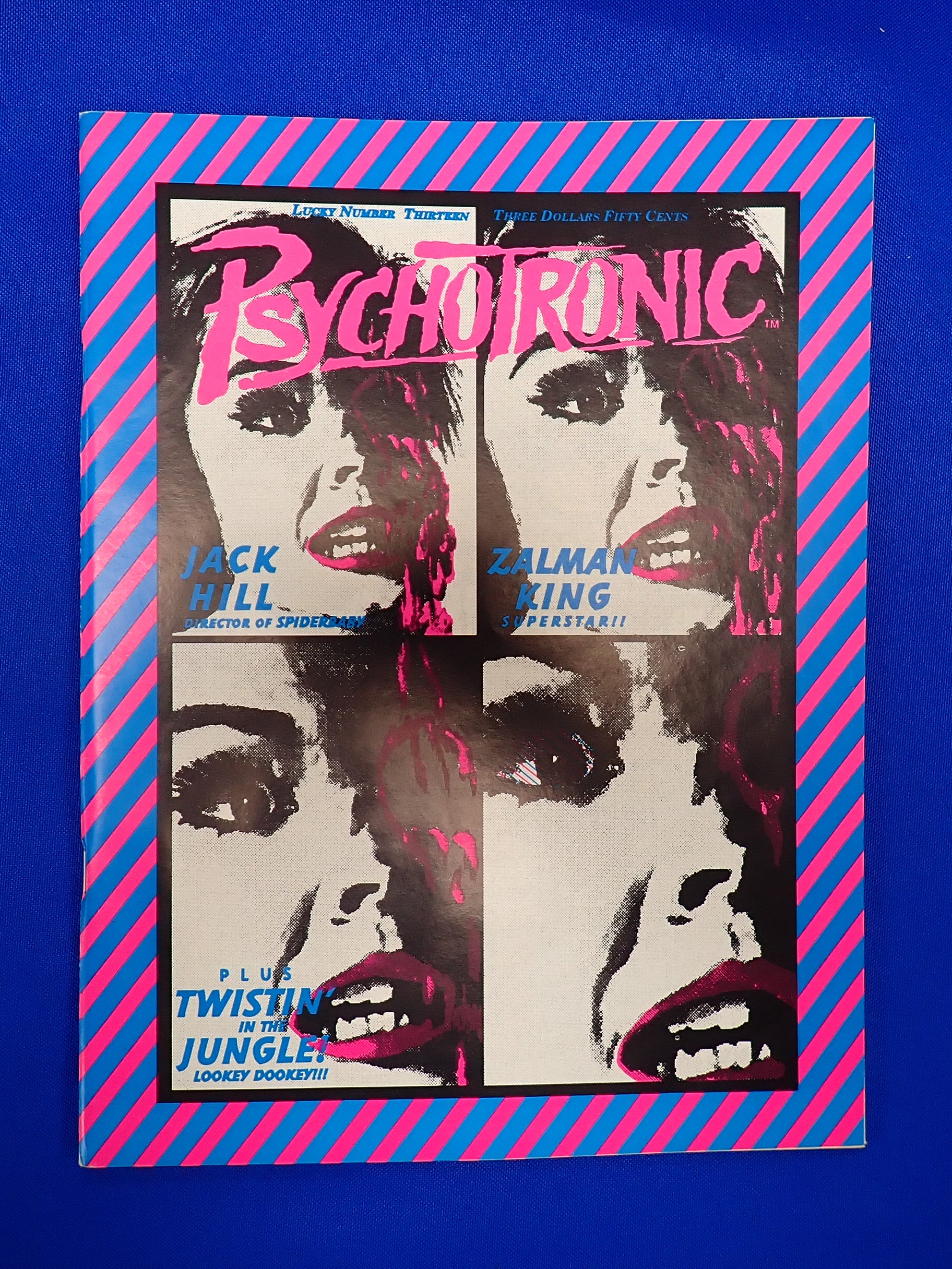 Psychotronic Magazine #13 (1992)