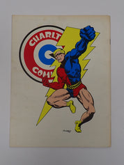 The Charlton Bullseye - 1976
