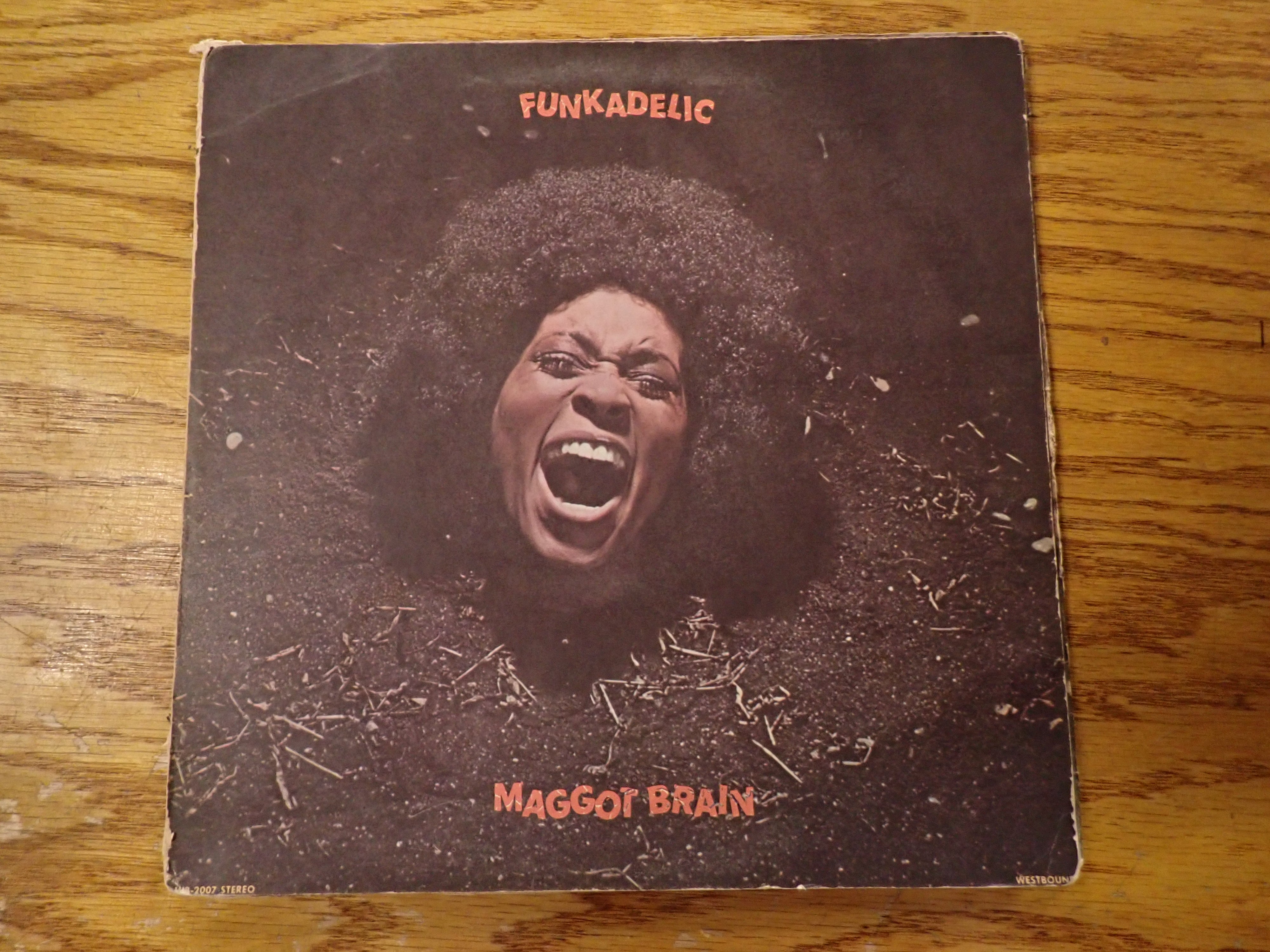 Funkadelic - Maggot Brain