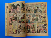 Amazing Spider-Man #129 (1974) - VF- (7.5) - 1st App. The Punisher