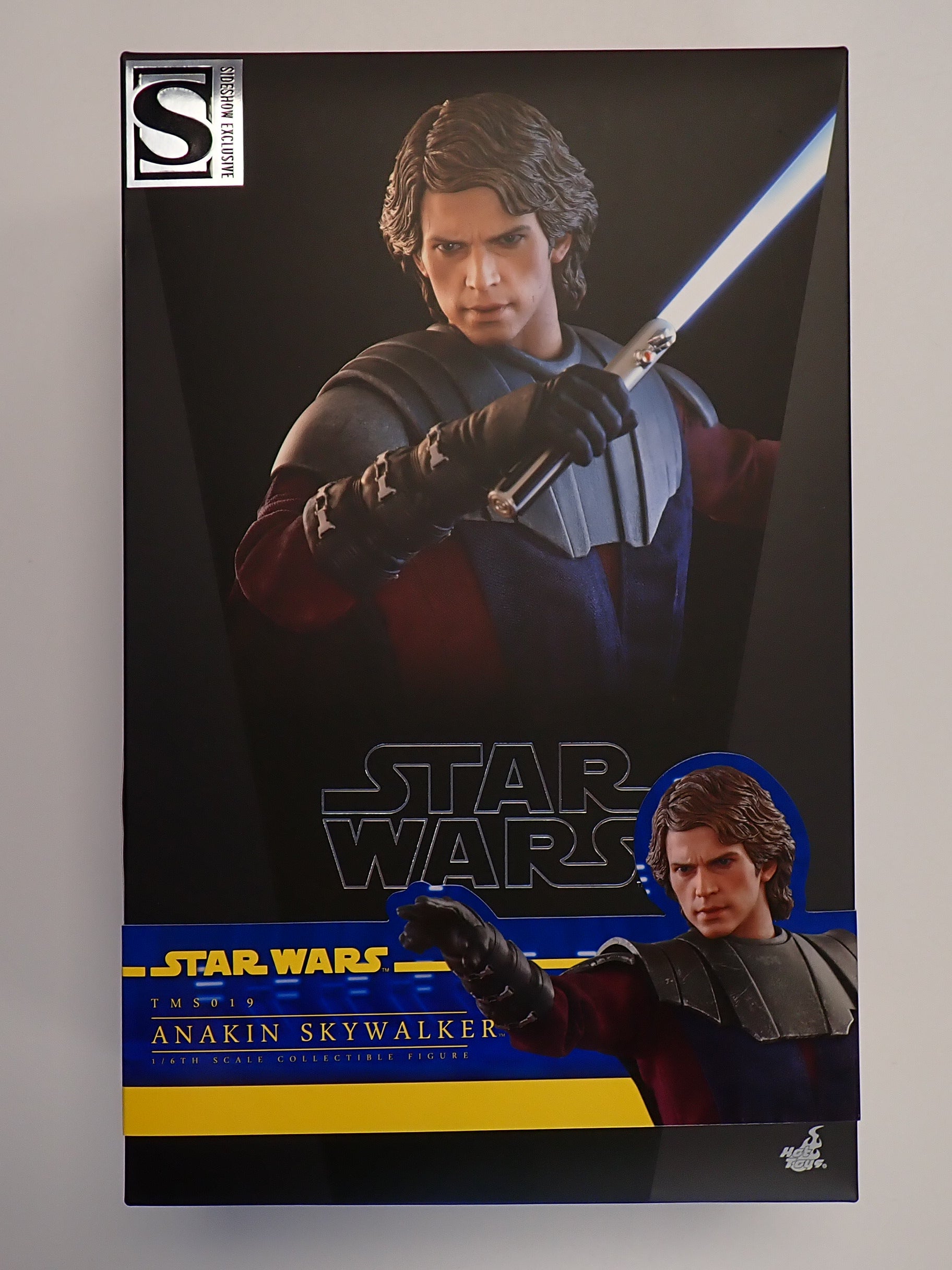 Anakin Skywalker (TMS019) - Hot Toys [Pre-Owned]