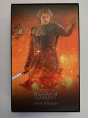 Anakin Skywalker (TMS019) - Hot Toys [Pre-Owned]