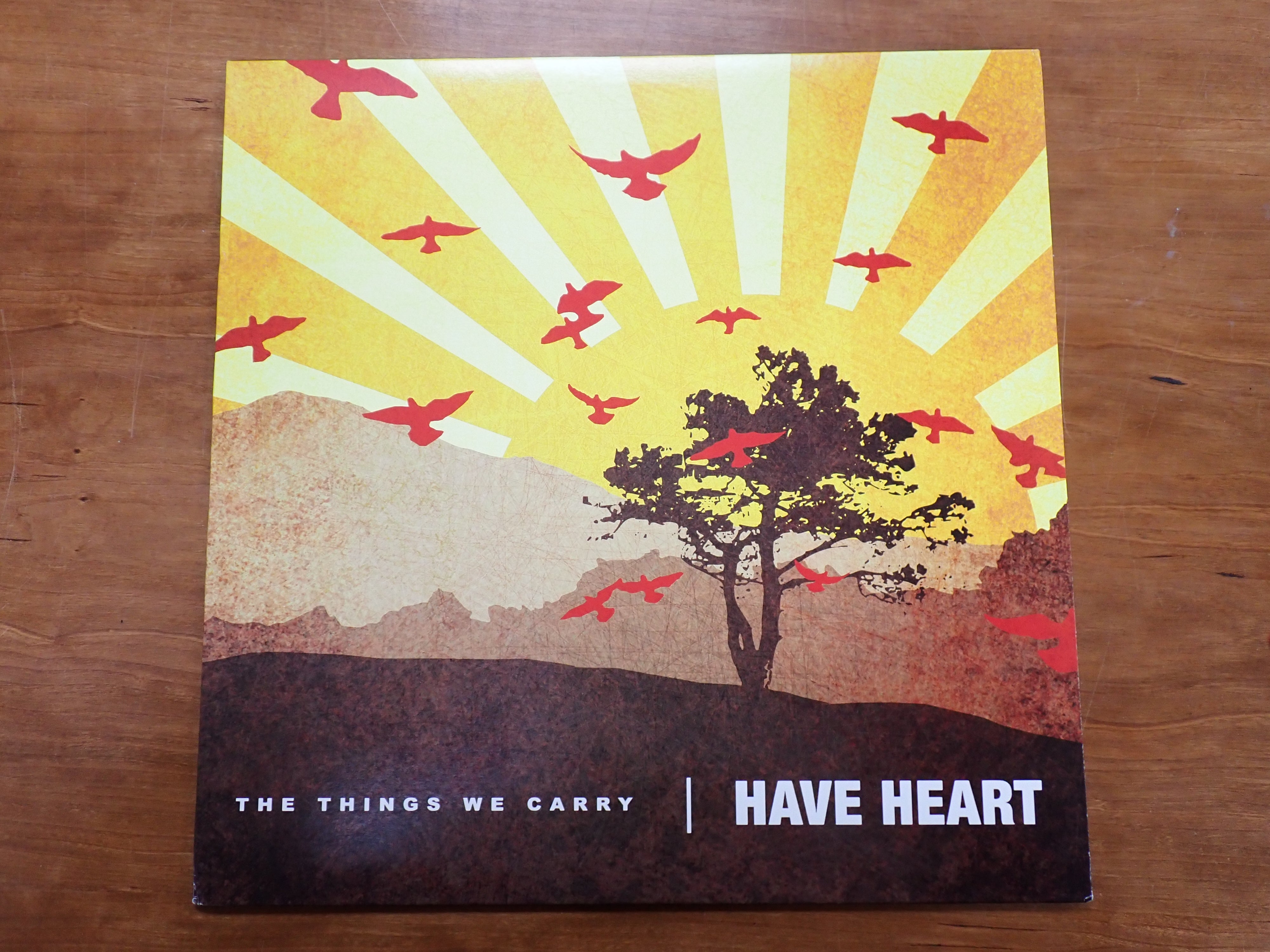 Have Heart - The Things We Carry