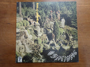Parliament - Osmium