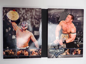 Wrestlemania 22 (3-Disc Collector's Edition) - DVD [Pre-Owned]