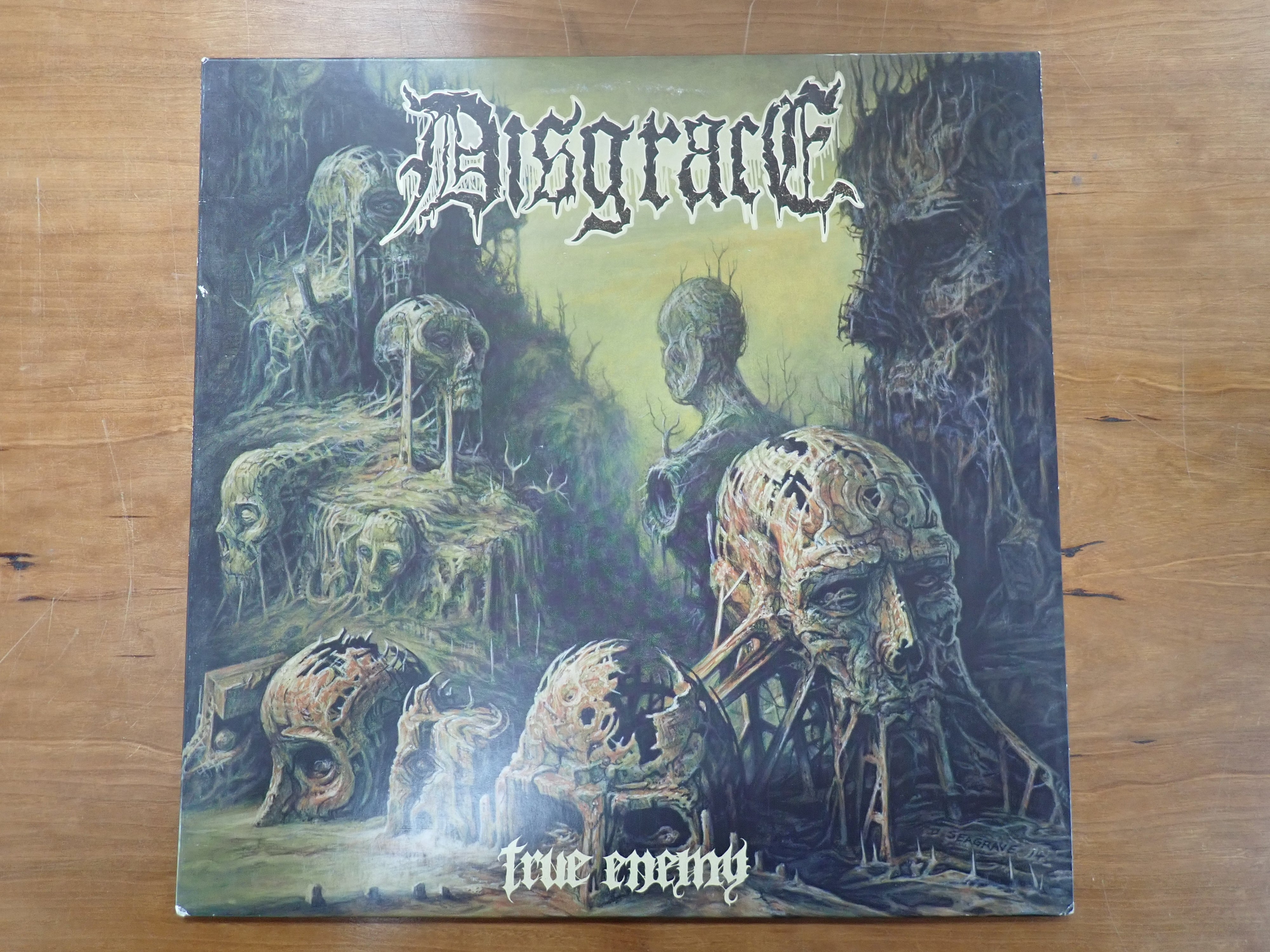 Disgrace - True Enemy