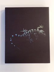 Trauma - Blu-Ray [Pre-Owned]