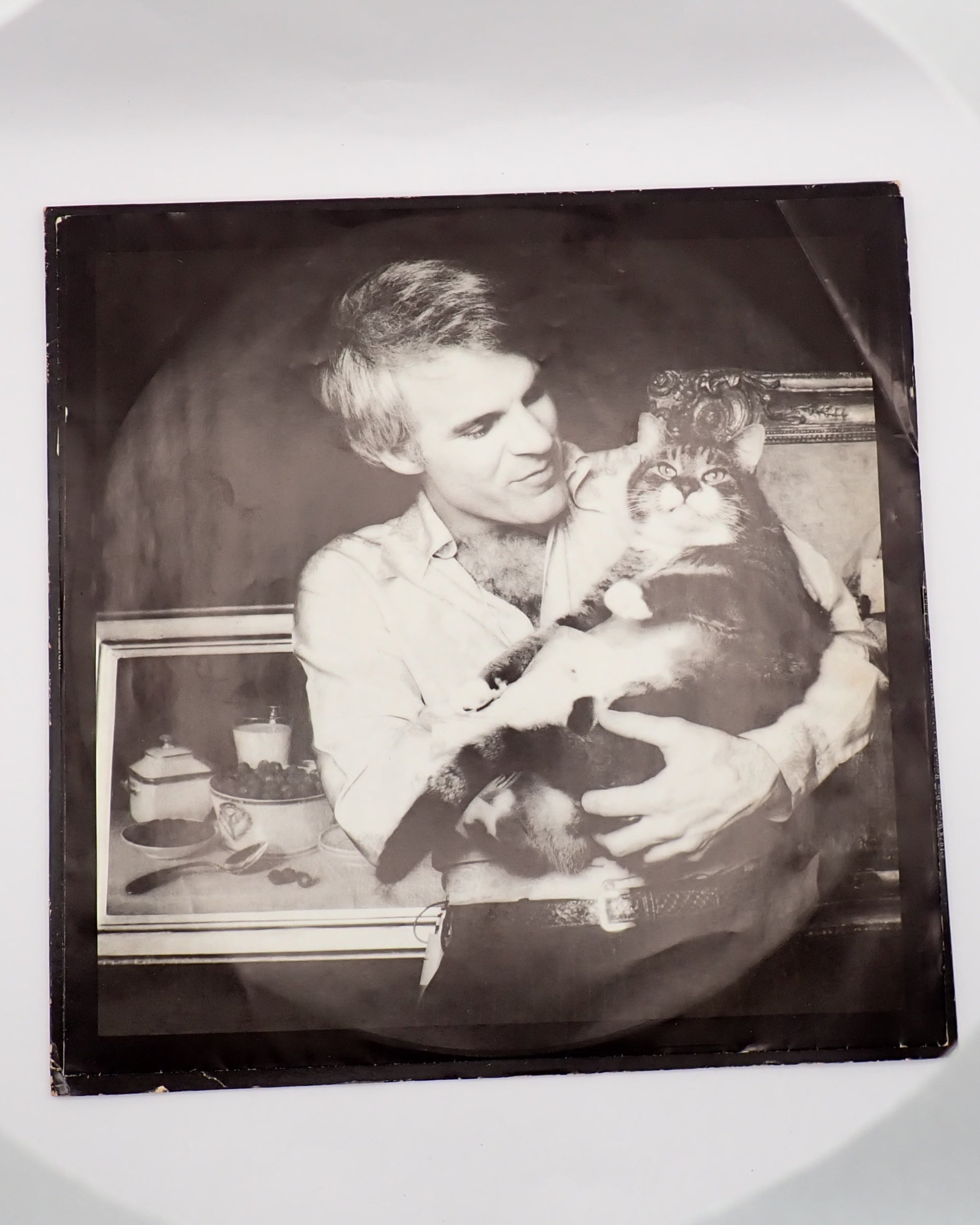 Steve Martin - A Wild and Crazy Guy