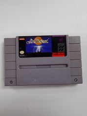 ActRaiser - SNES [Loose]