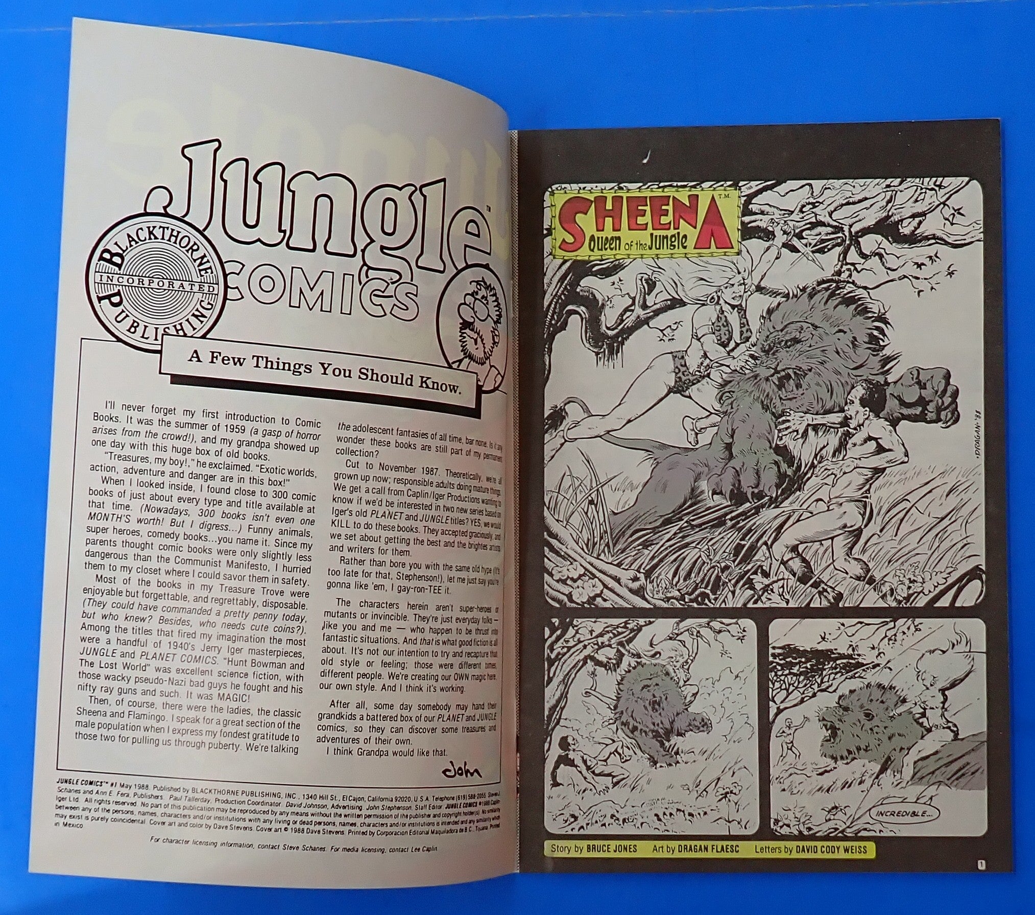 Jungle Comics #1 (1988) - VF/NM (9.0) - Dave Stevens Cover