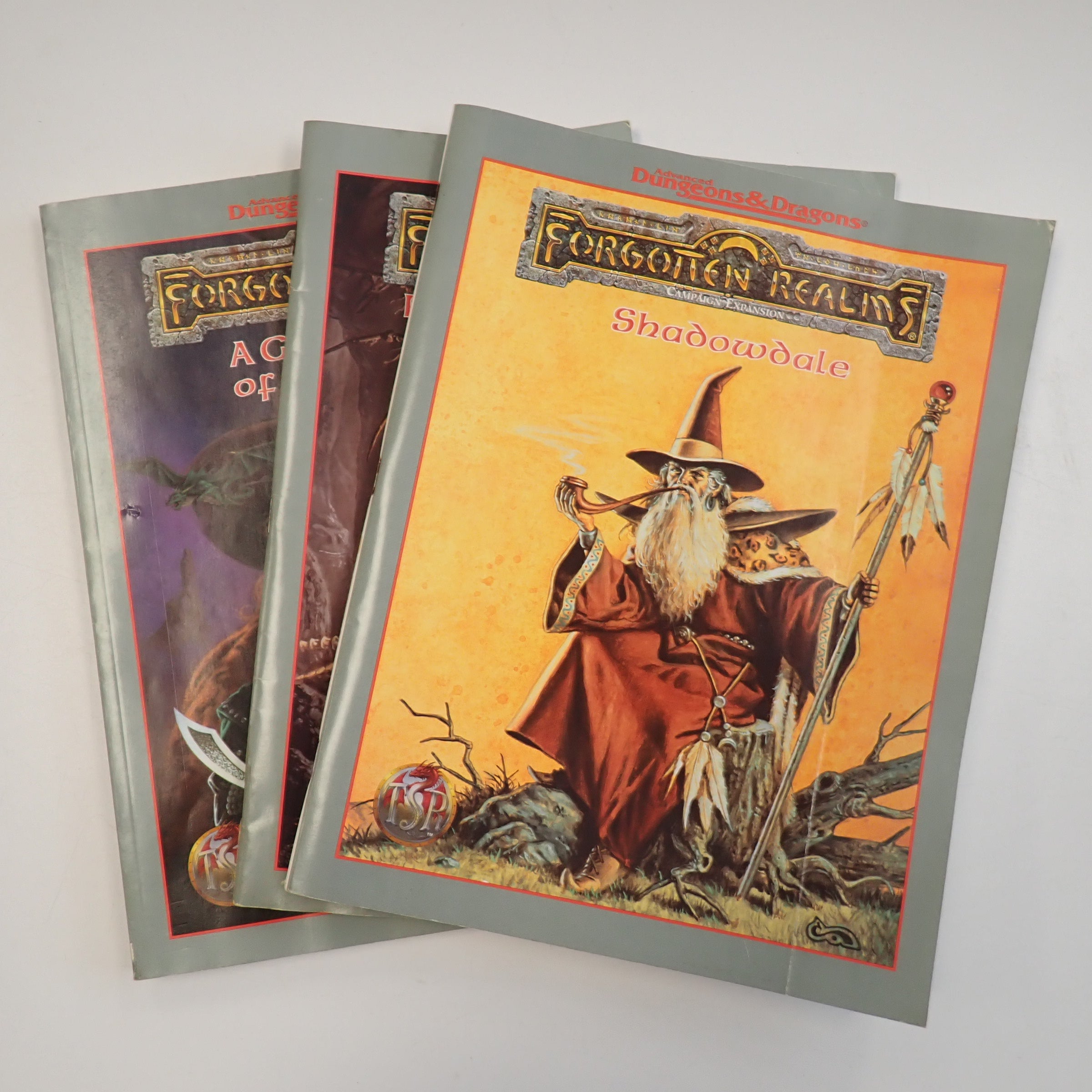 Forgotten Realms Campaign Setting Boxed Set - AD&D 2nd Edition [Pre-Owned]