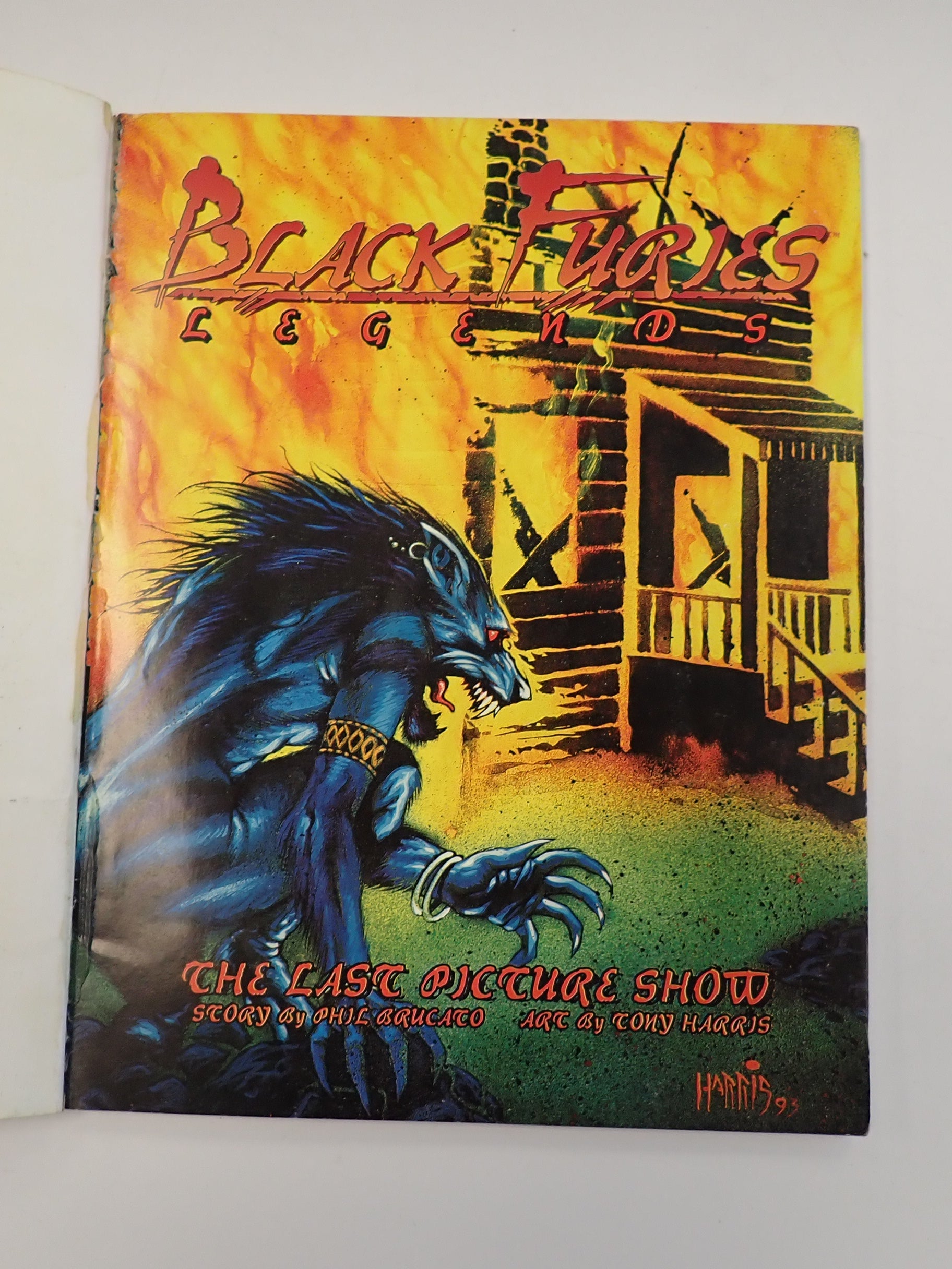 Werewolf the Apocalypse Black Furies Tribe Book (Pre-Owned)