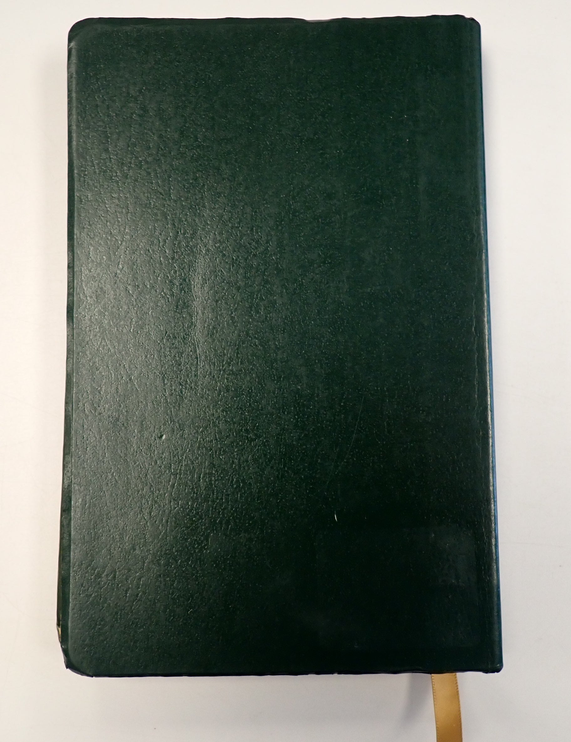 P9270101.jpg