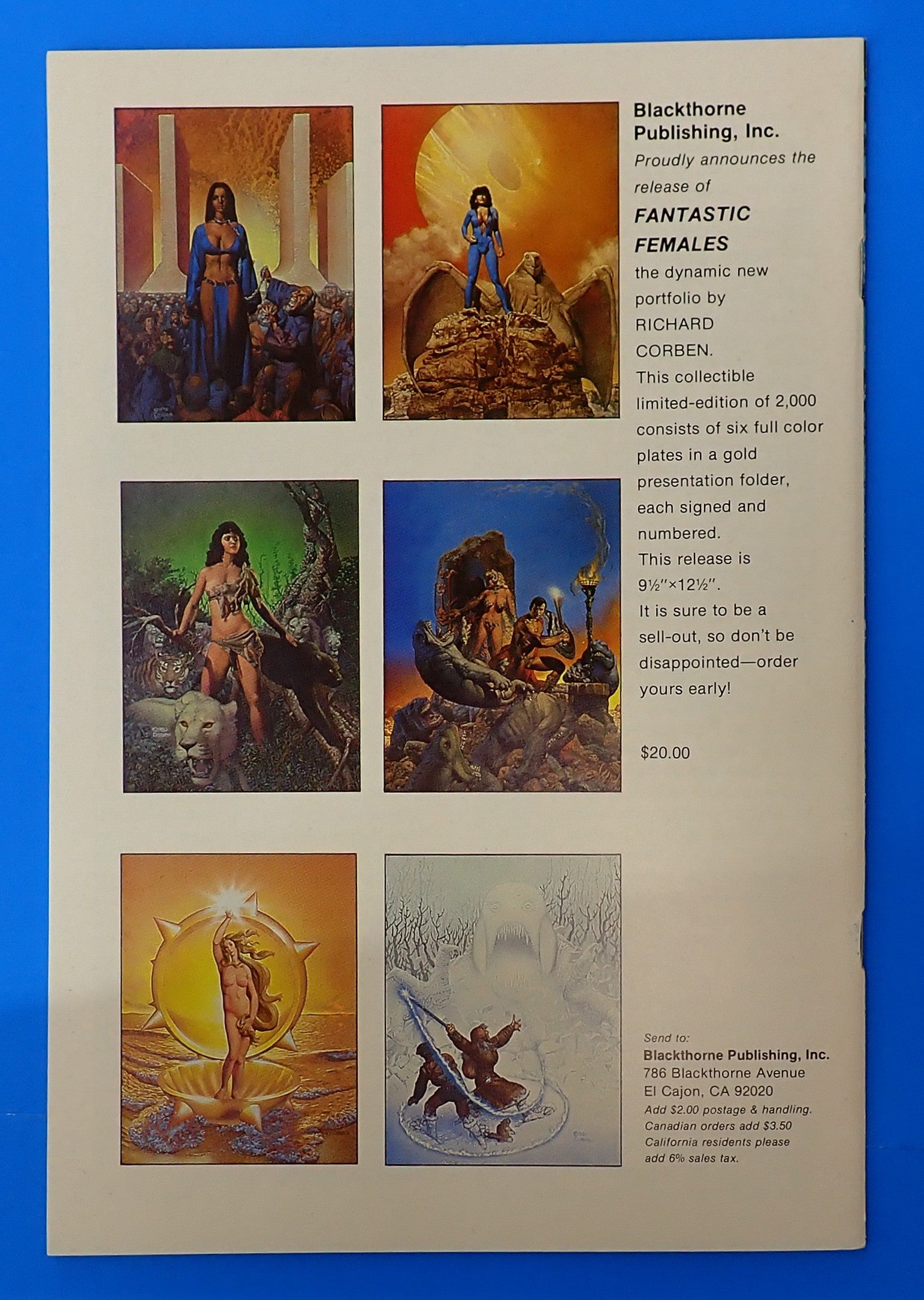 Sheena: Queen of the Jungle 3-D #1 (1985) - NM- (9.2+) - Dave Stevens Cover