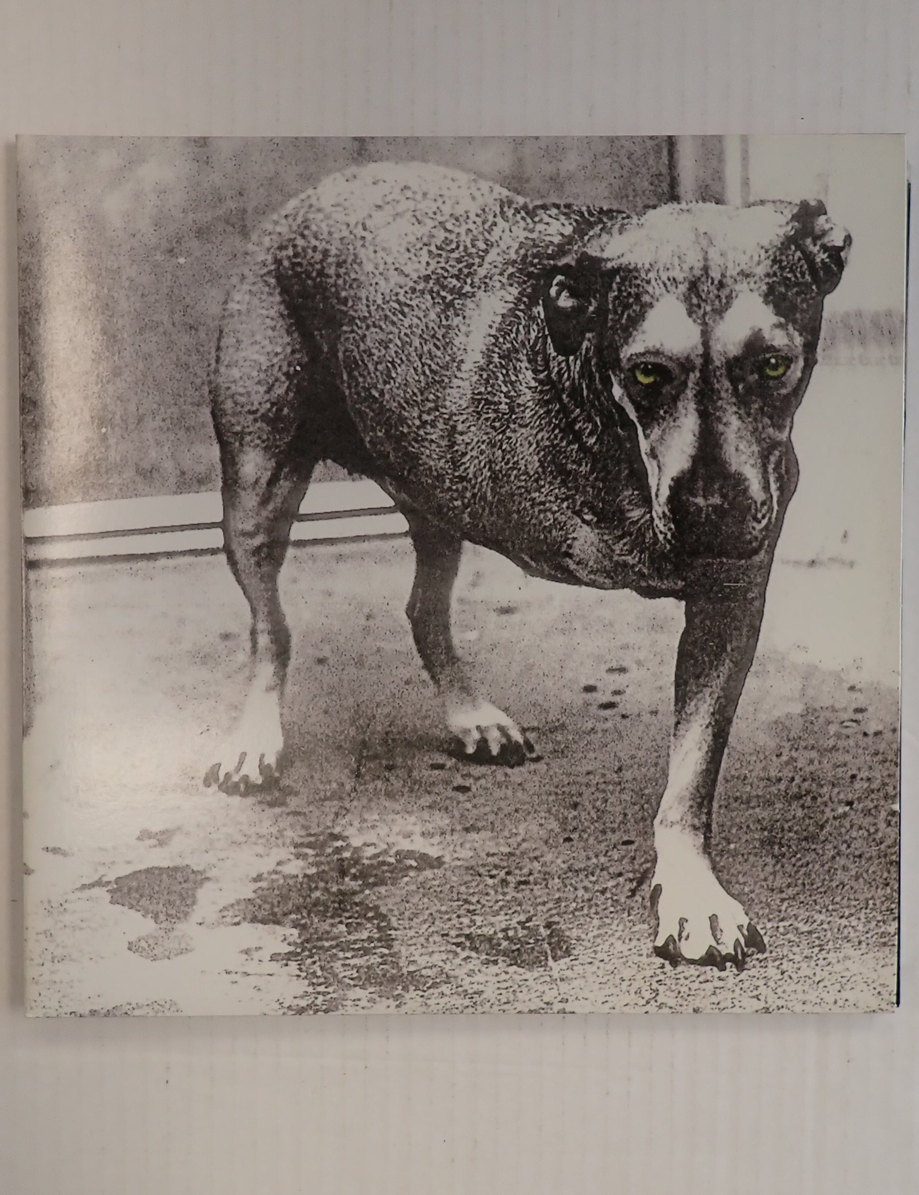 PA050119.jpg