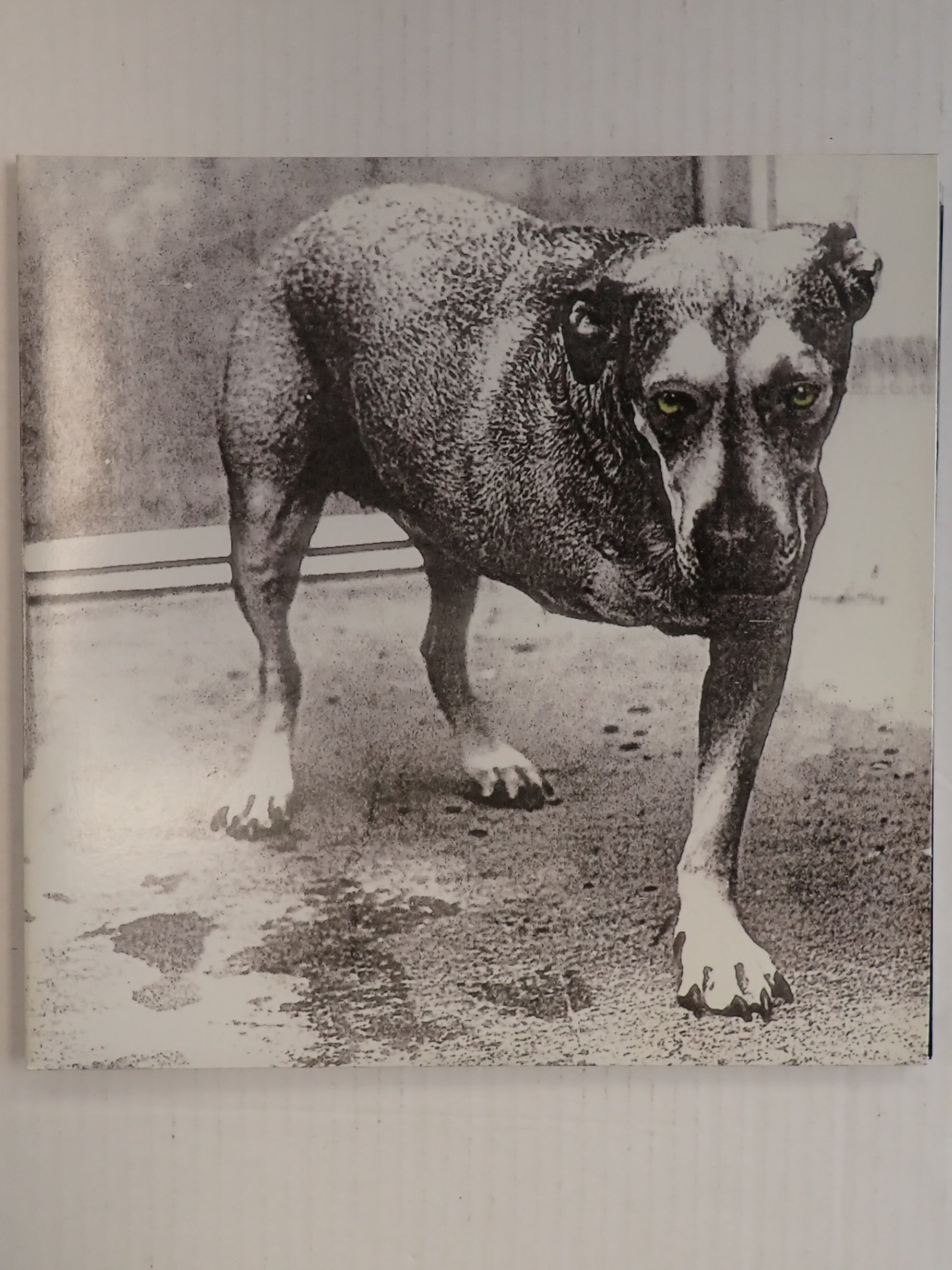 Alice in Chains Self Titled - Vinyl (Highlighter Yellow 2025 Reissue)