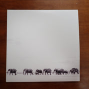 Dave Matthews Band - Where Are you Going - Vinyl
