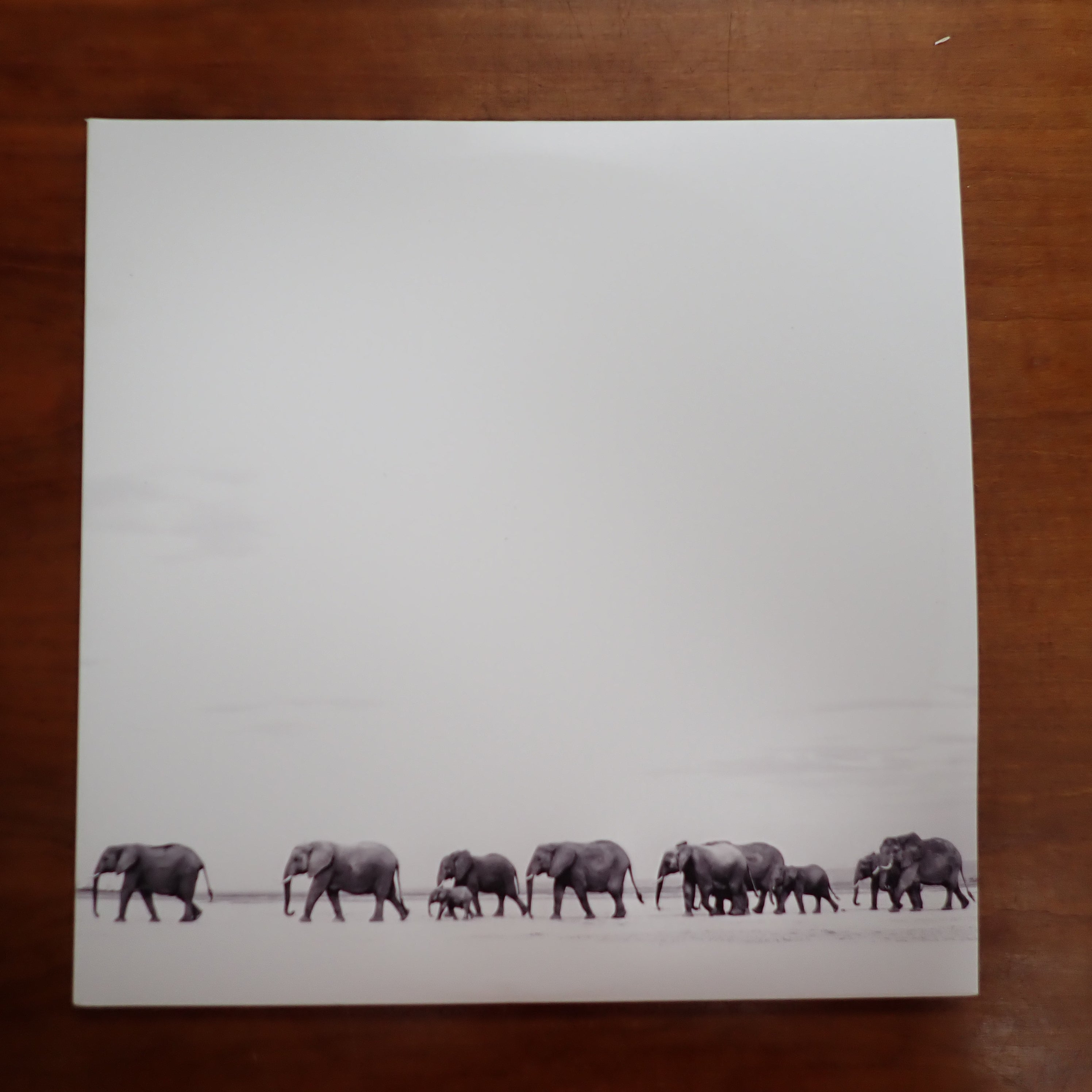 Dave Matthews Band - Where Are you Going - Vinyl