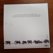 Dave Matthews Band - Where Are you Going - Vinyl