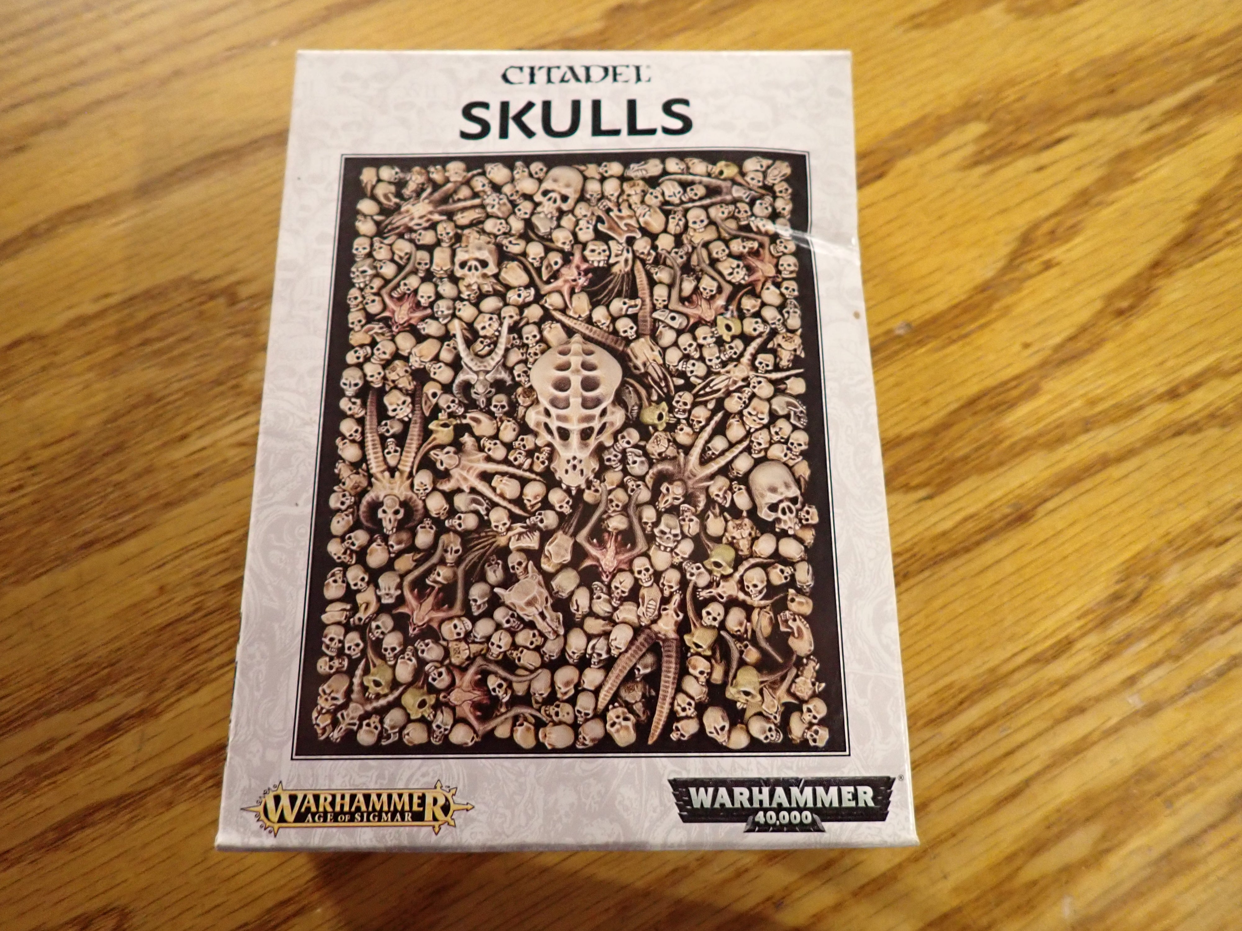 Citadel Skulls(Model kit)