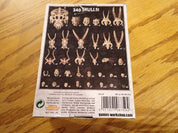 Citadel Skulls(Model kit)