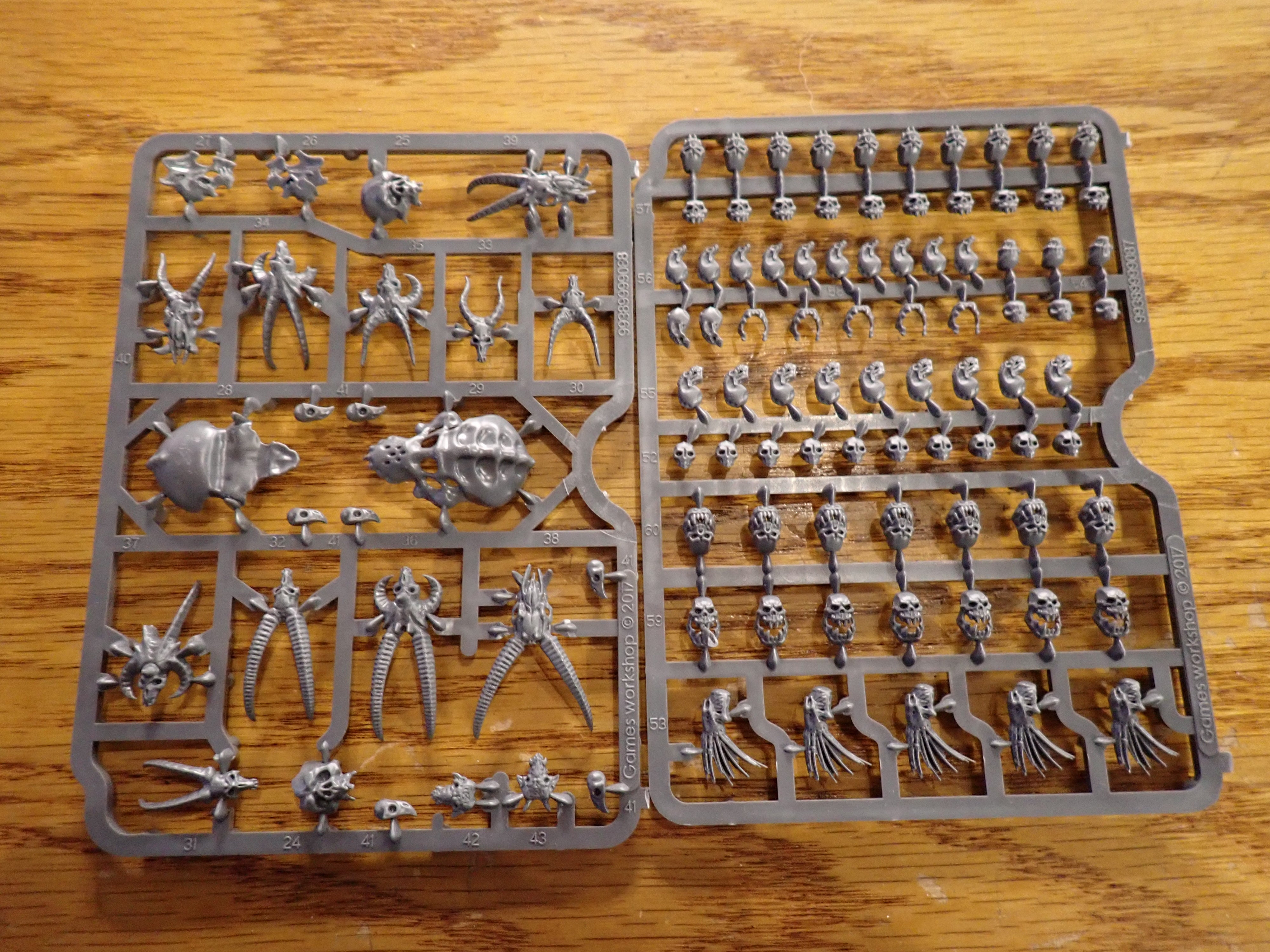Citadel Skulls(Model kit)