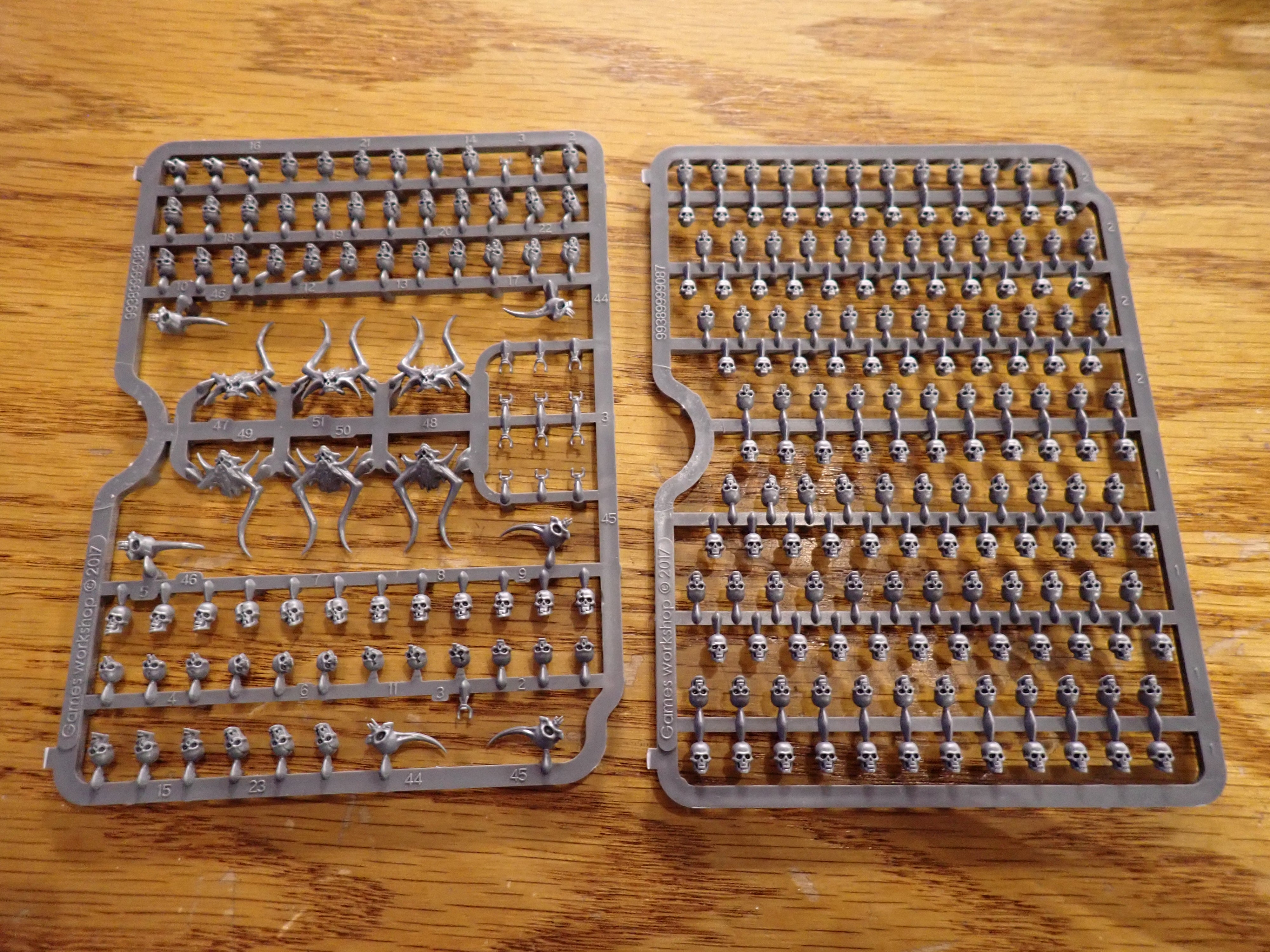 Citadel Skulls(Model kit)