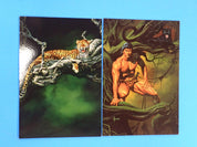 Joe Jusko's Colossal Cards (1995)