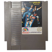 Bill and Ted's Excellent Video Game Adventure - NES