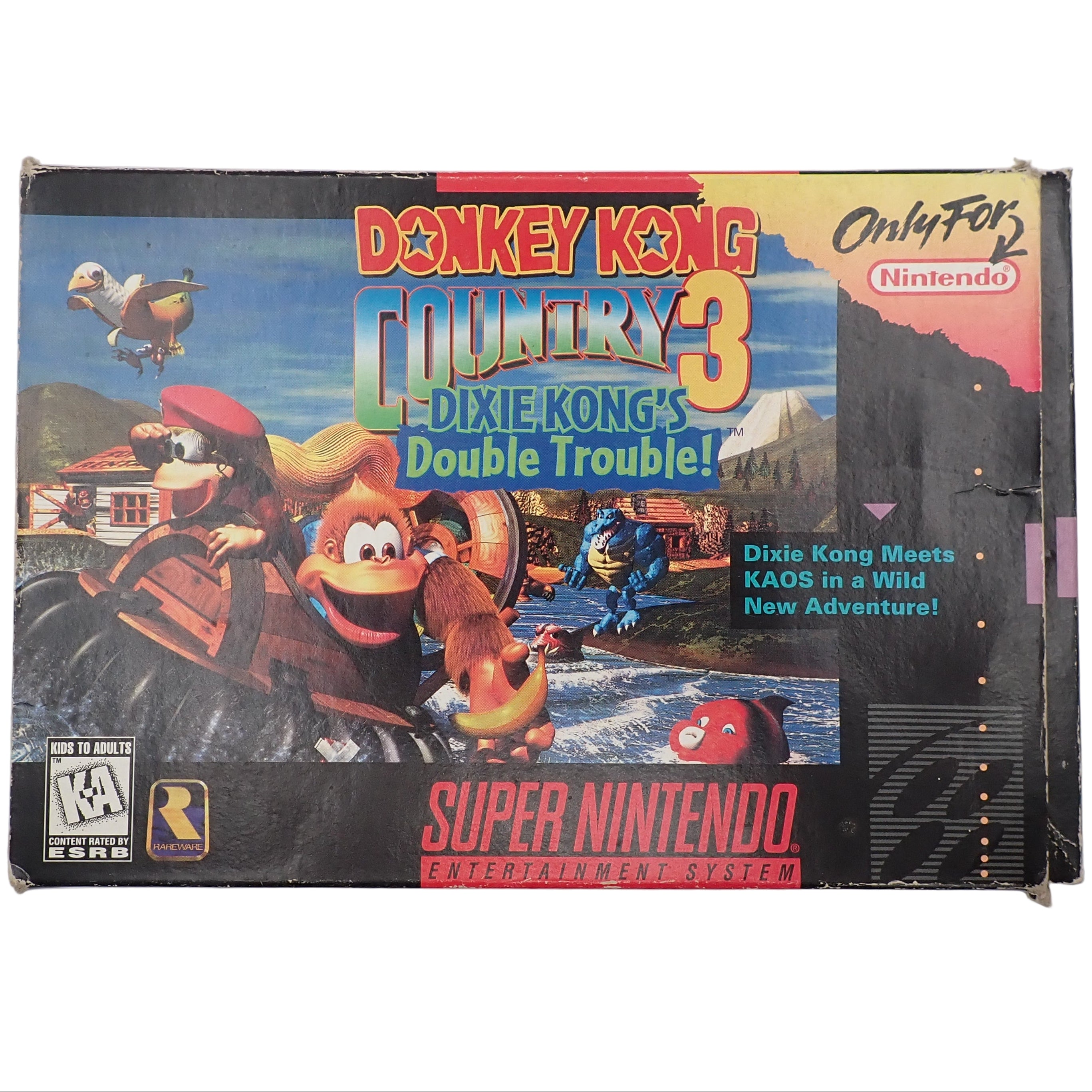 Donkey Kong Country 3: Dixie Kong's Double Trouble! - SNES